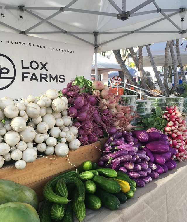 Gallery — Lox Farms