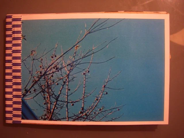 Handmade Book (2005)