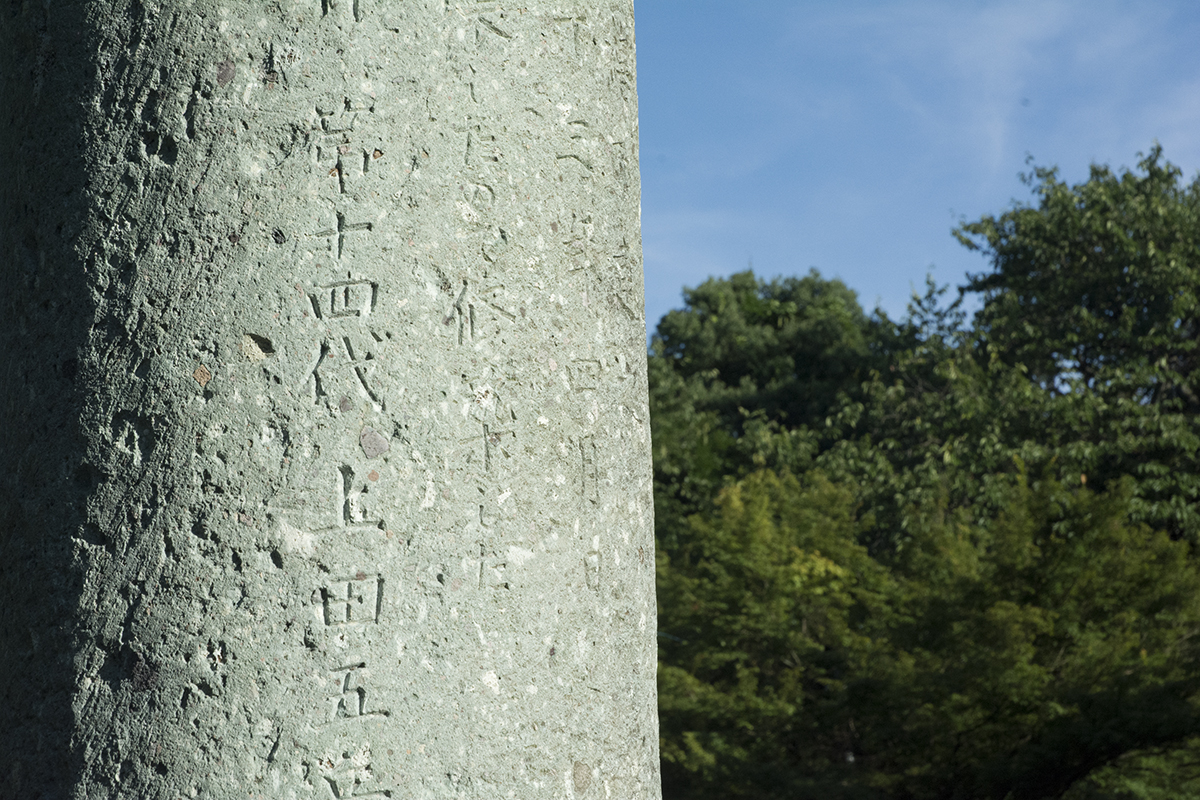 _DSC7653.jpg