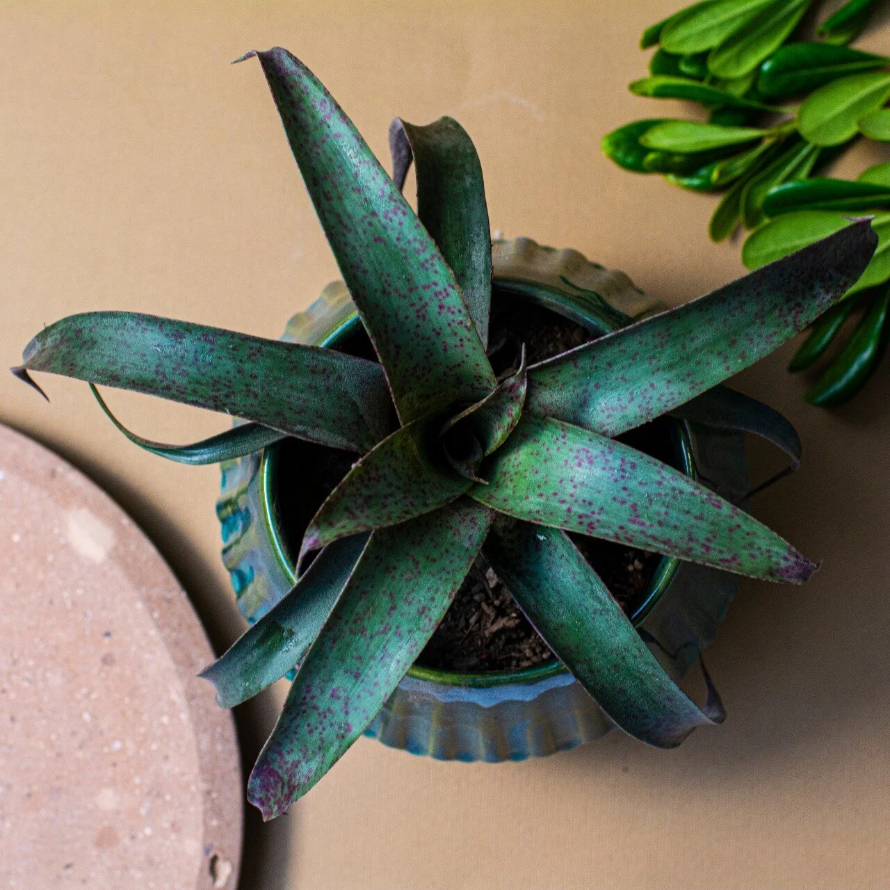 WhatsApp Image 2020-10-18 at 8.06.46 PM (1).jpeg