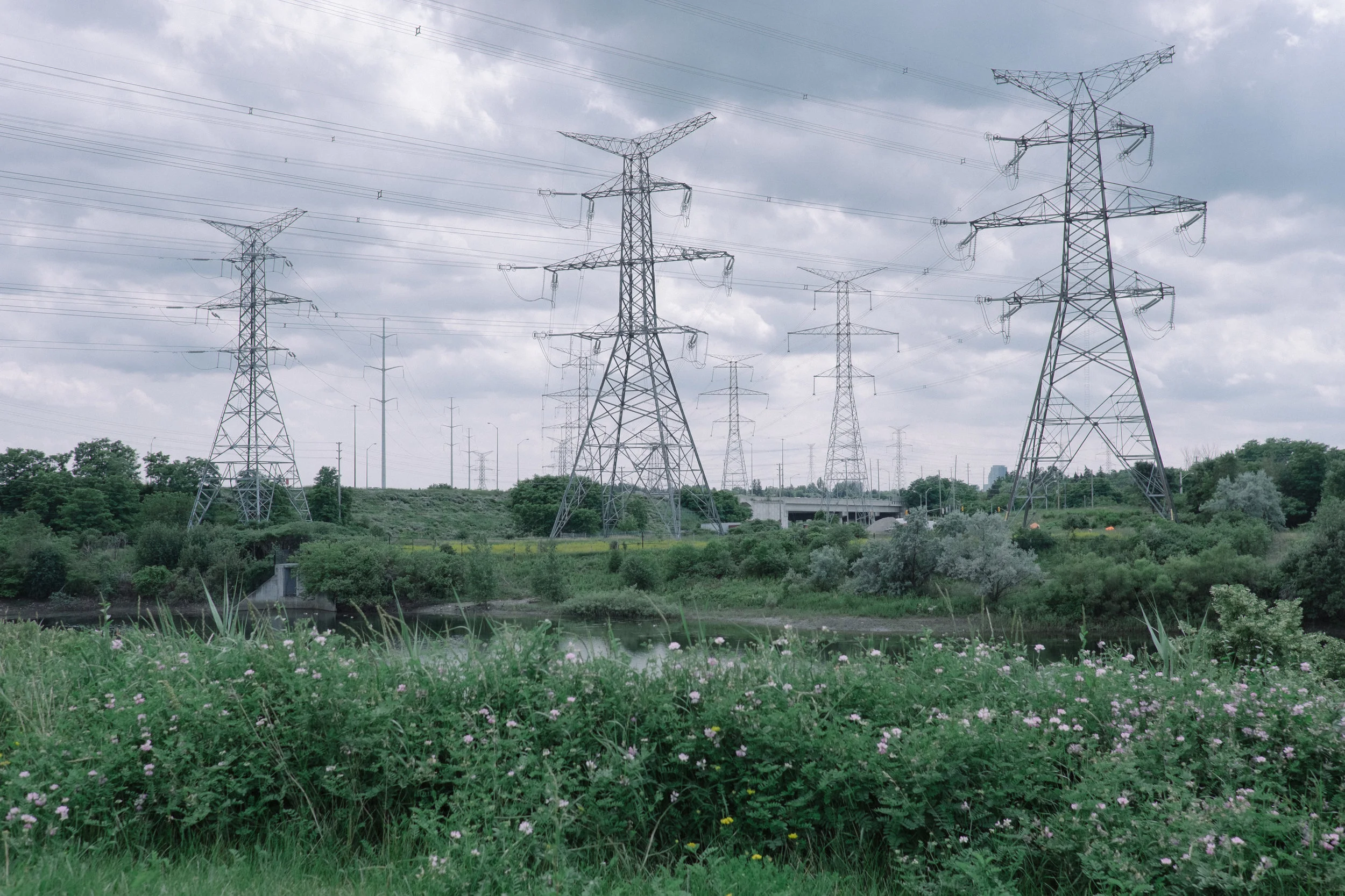 DSCF8196.jpg