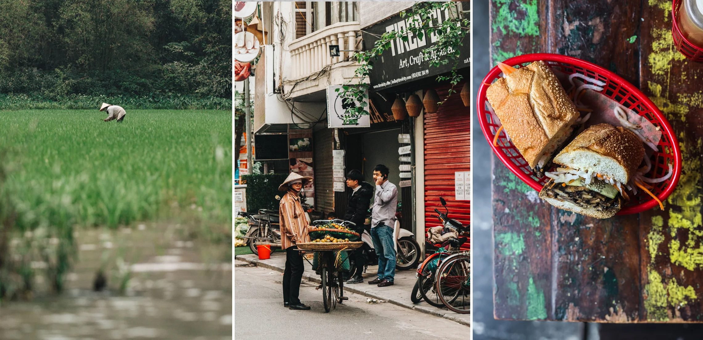 From field to table , Vietnam