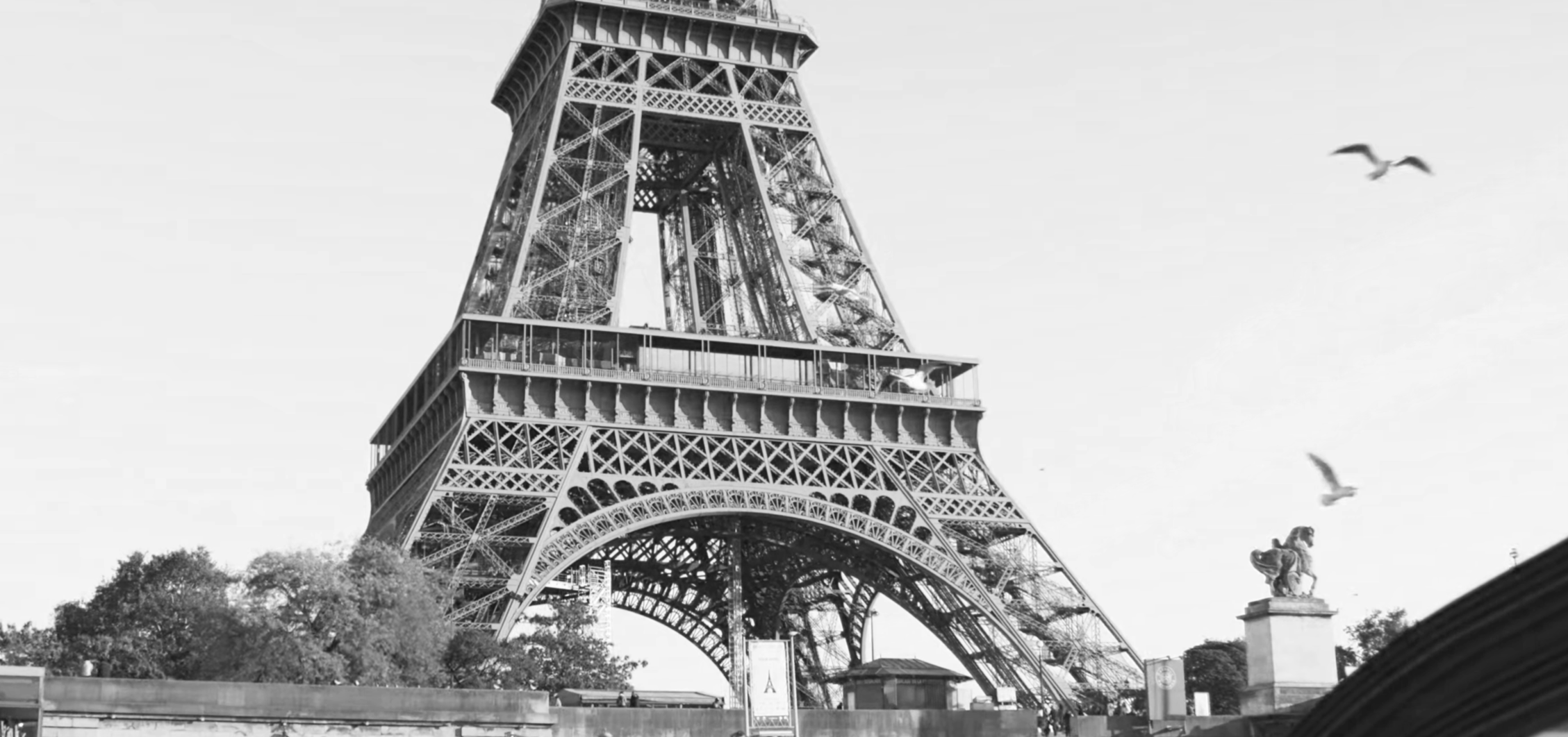 Black and white photo of the Eiffel Tower in Paris with birds flying in the sky and statues on the foreground.