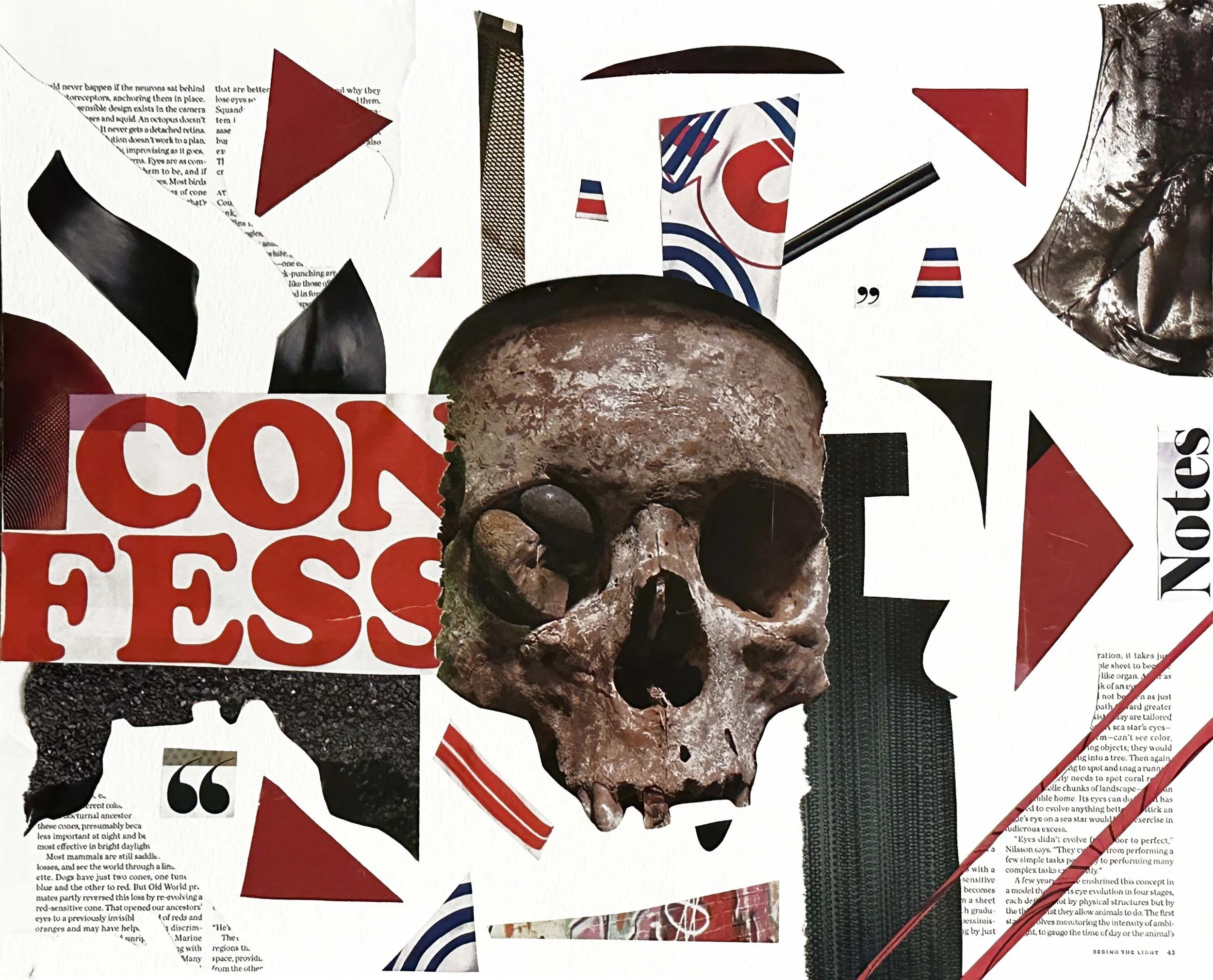 Confess Collage.jpg