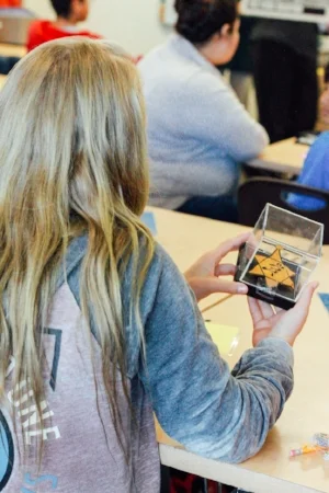 Picture of a student holding a case containing one of the yellow stars.