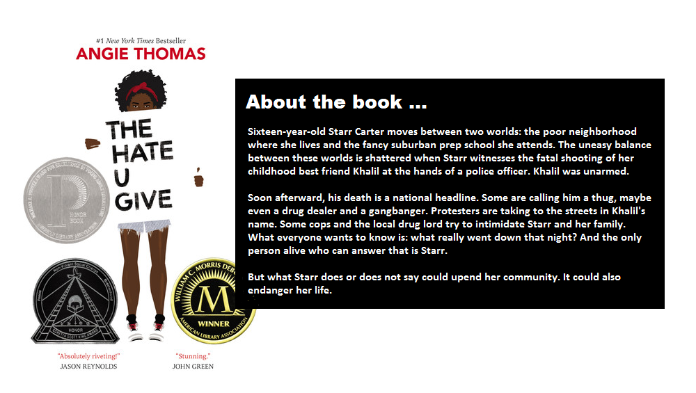 About the book 2.png