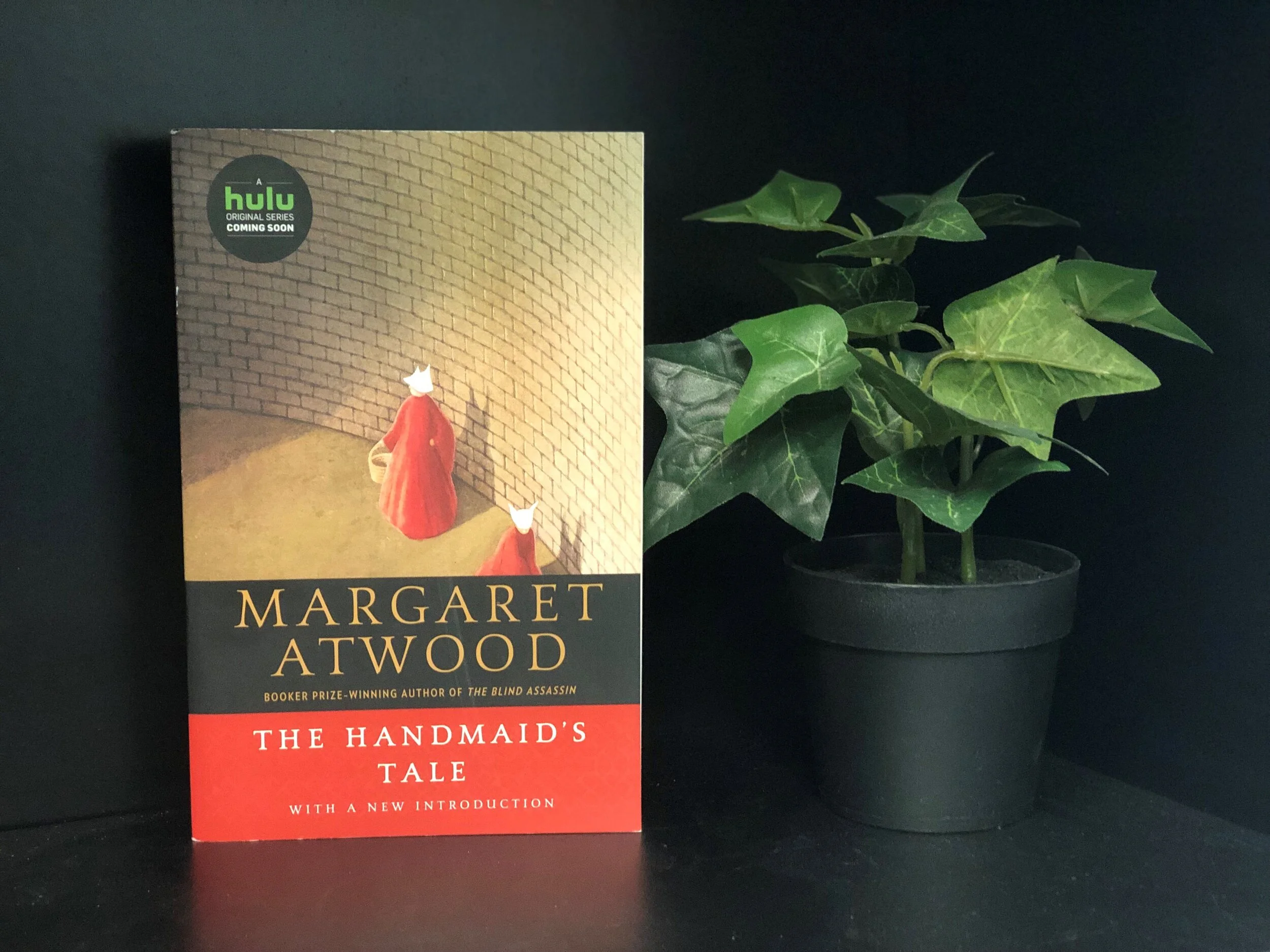 handmaid's.jpg