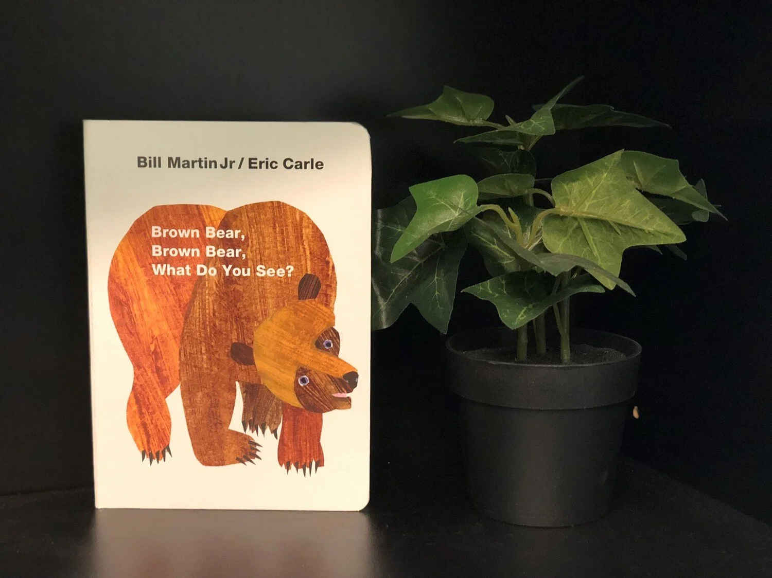 brown bear.jpg