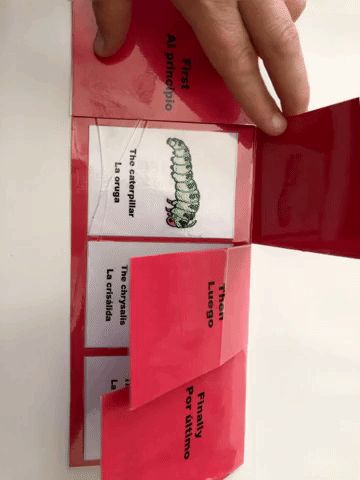 The Very Hungry Caterpillar ENG — Words Alive