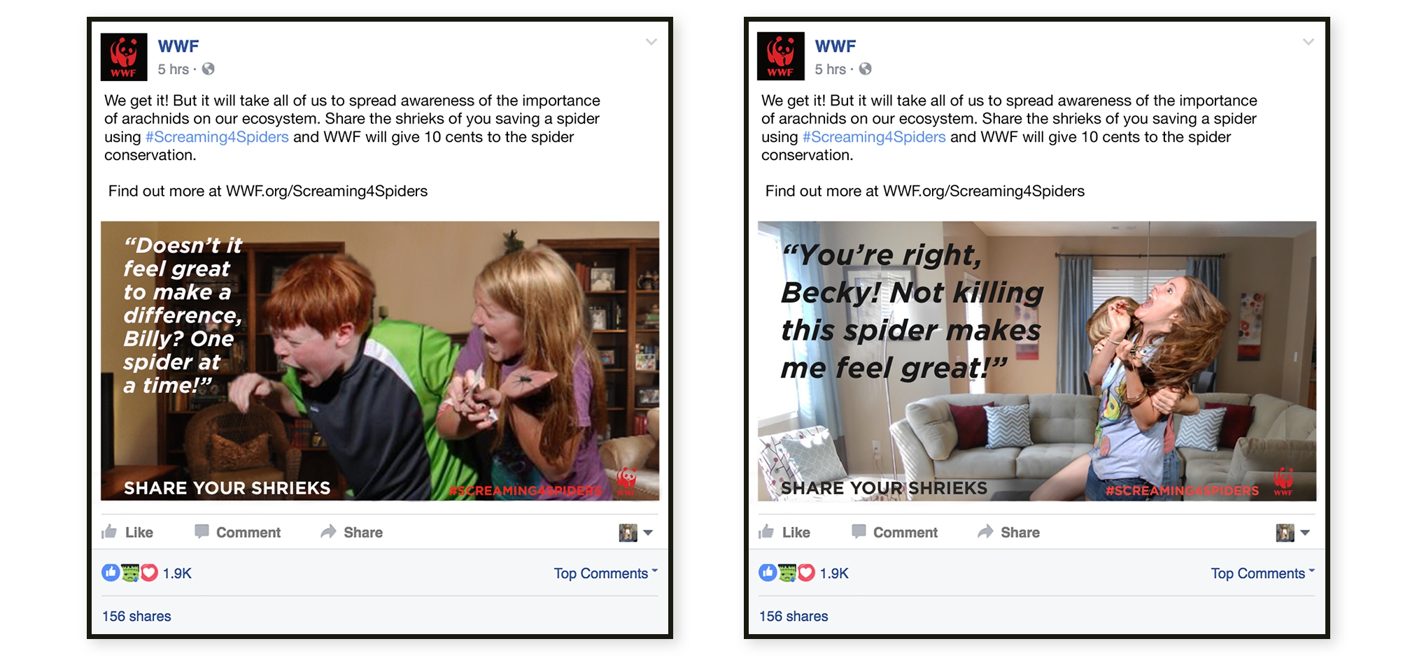 All parts of the campaign will lead the audience to the website where they can learn more about arachnids and their conservation.