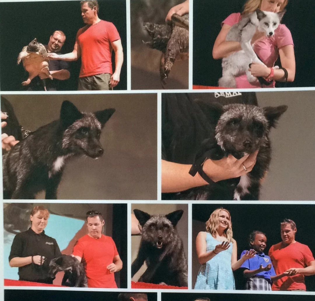 The Russians meet Jeff Corwin