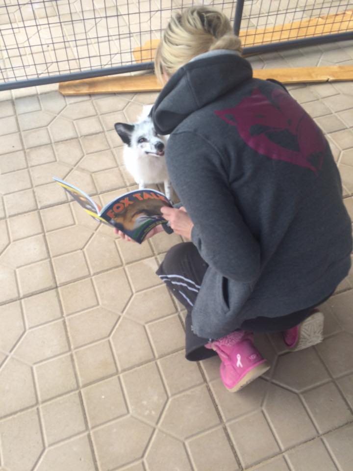 Ambassador Sophia and Amy (wearing Fox Appeal Gray zip up hoodie in Pink Love Foxes)