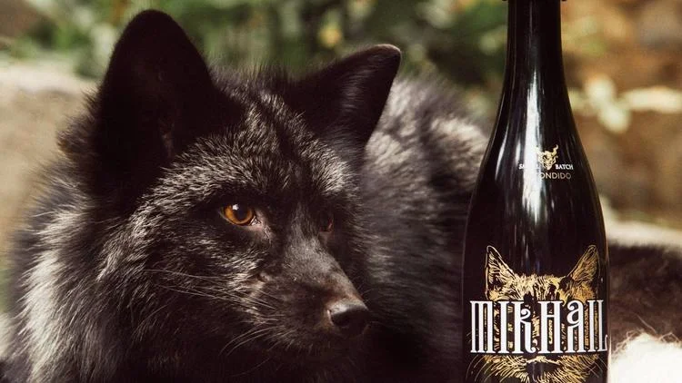 Mikhail and Stone Brewing Company Mikhail Russian Stout.