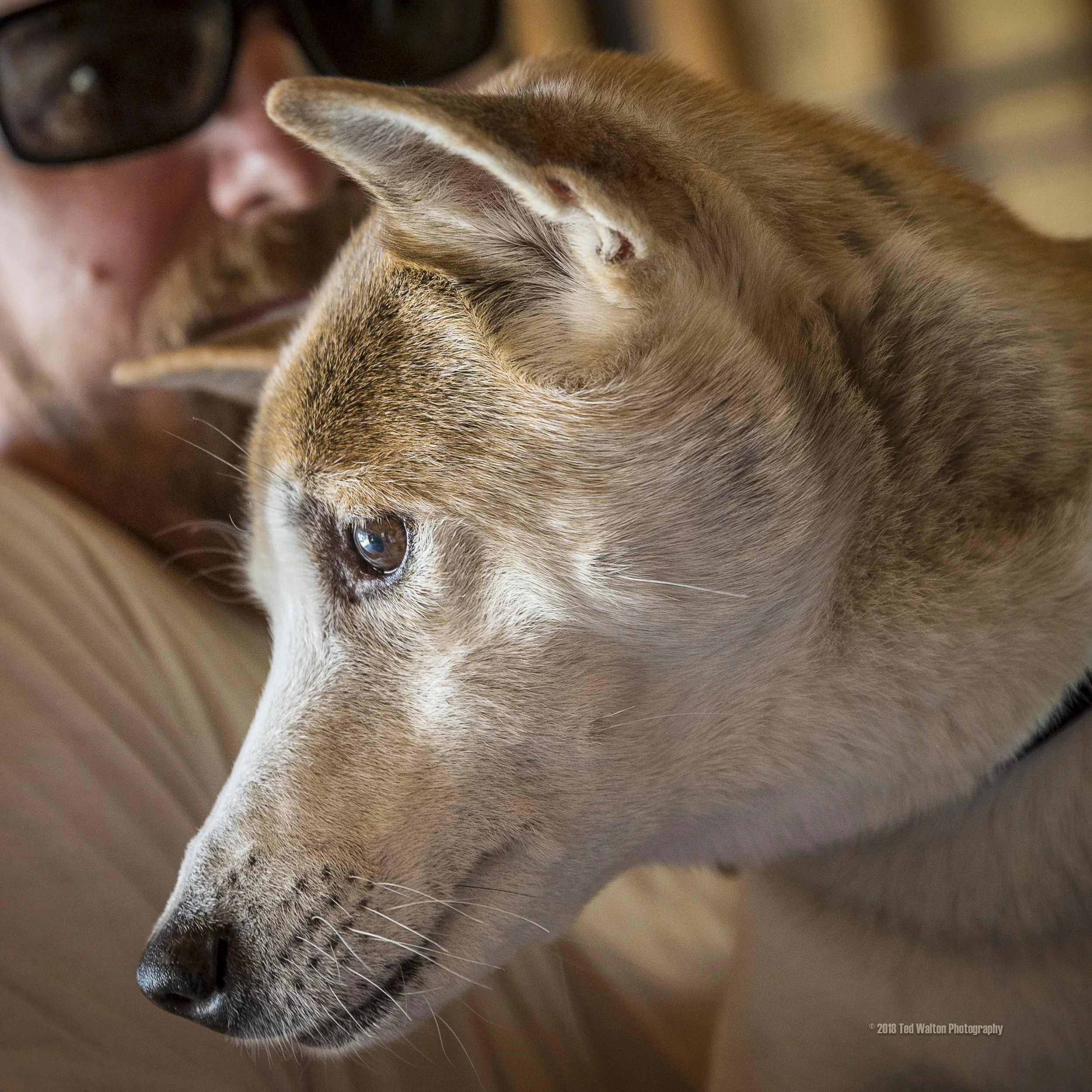 JABCECC_40_20180506©TedWalton.jpg