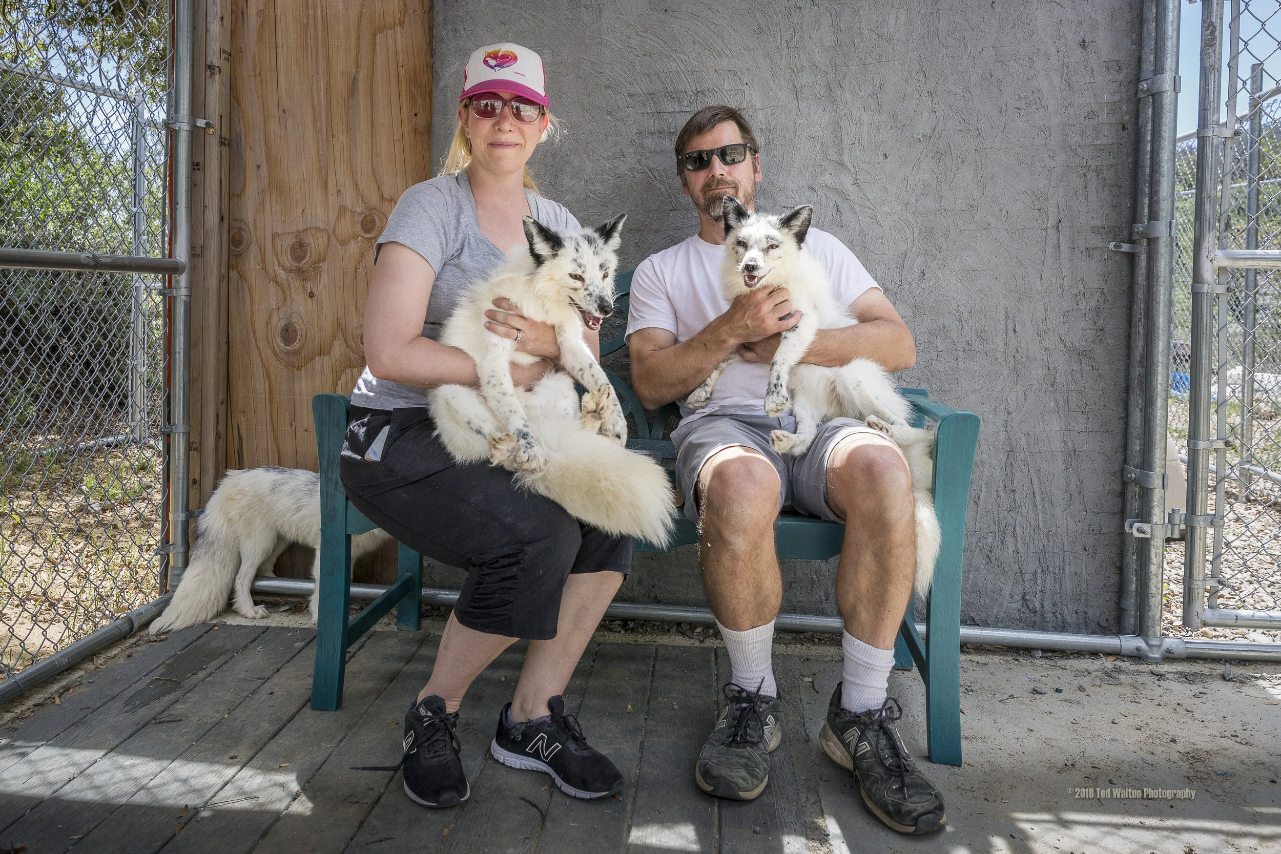 Amy and David Bassett with Boris and Sophia