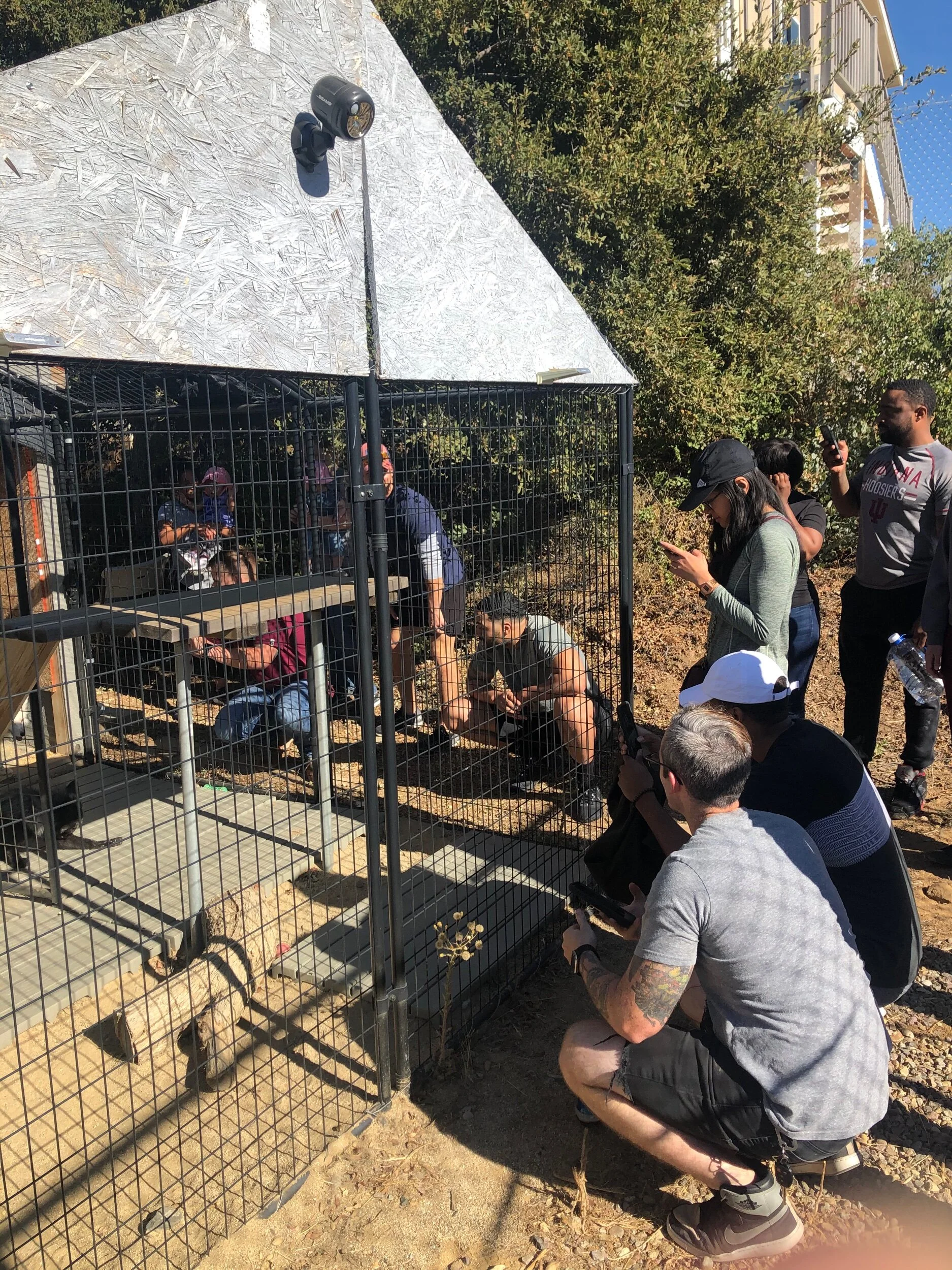 0731E5F8-E975-4455-871B-B805E1BAB0D1