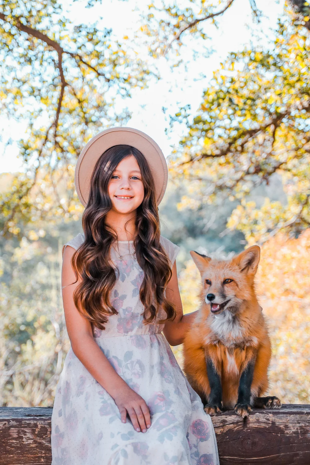 Photoshoots | Animal Conservation