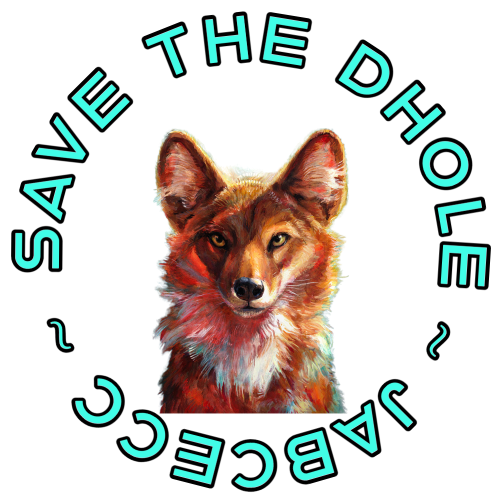 World Dhole Day - Dhole Patrol
