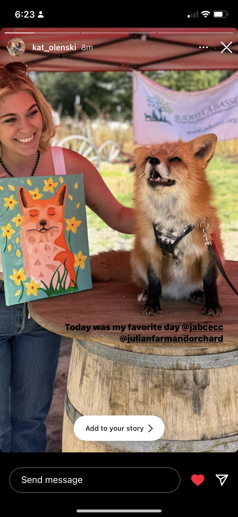 Pet and Paint - Canid Series