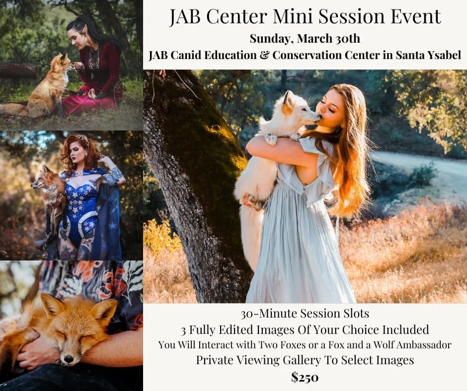 Mini- Photo Experiences - Late Summer