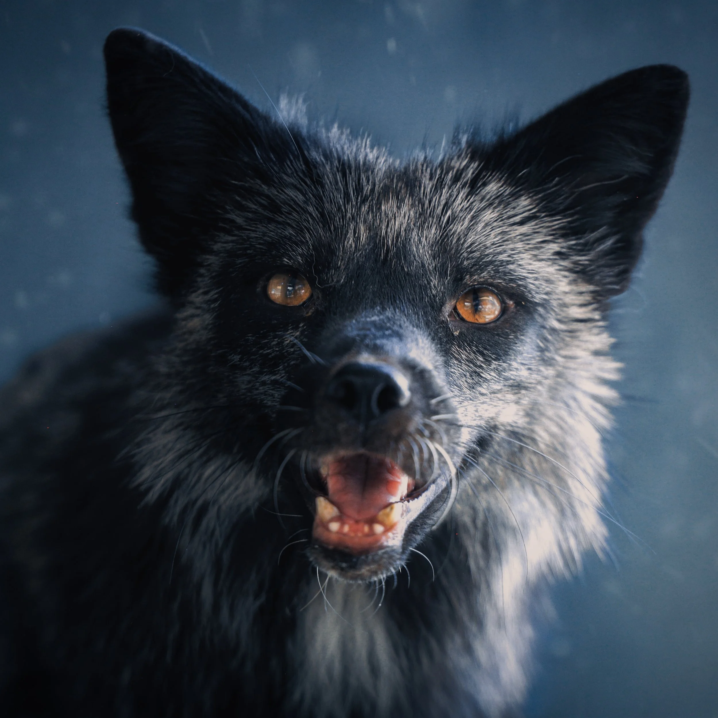 Copy of August3_Center_Photo2.jpg