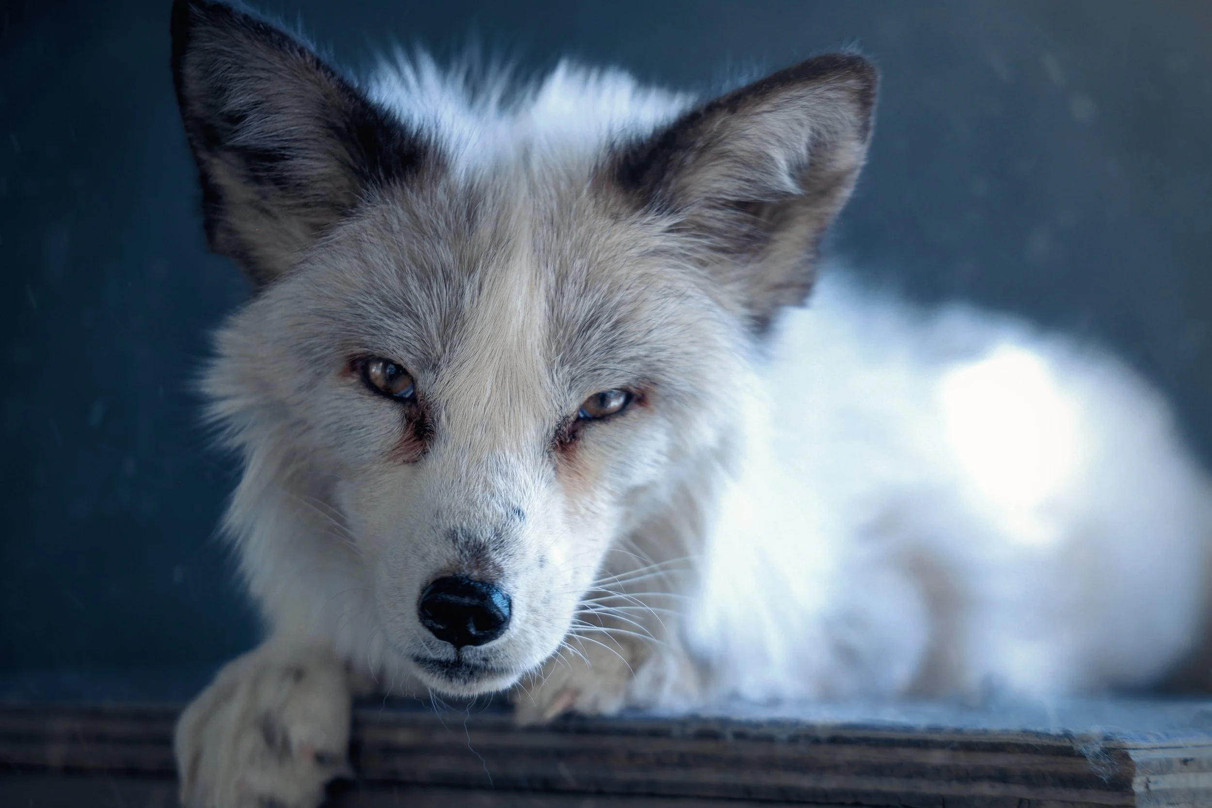 Copy of August3_Center_Photo3.jpg