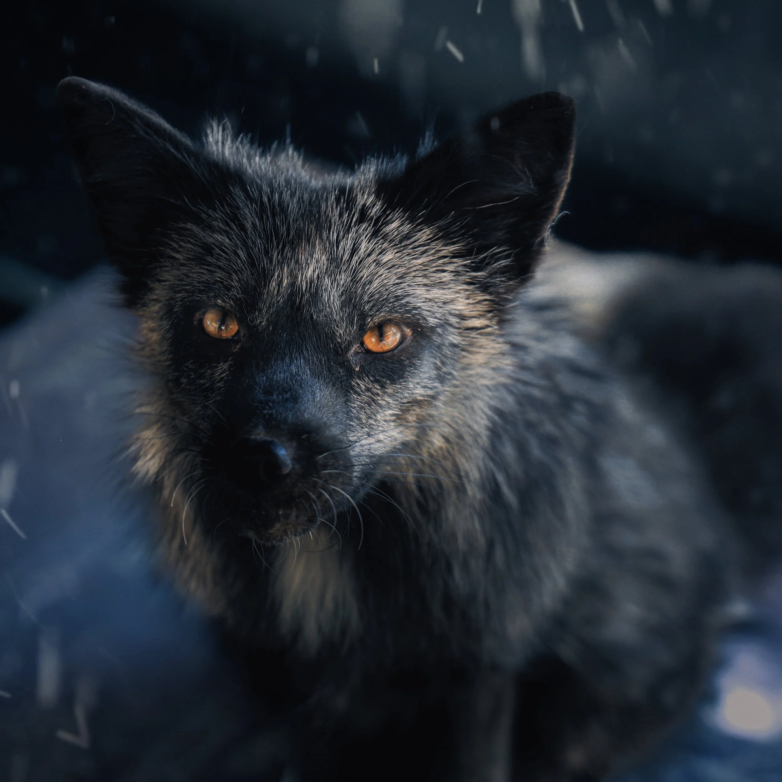 Copy of August3_Center_Photo5.jpg