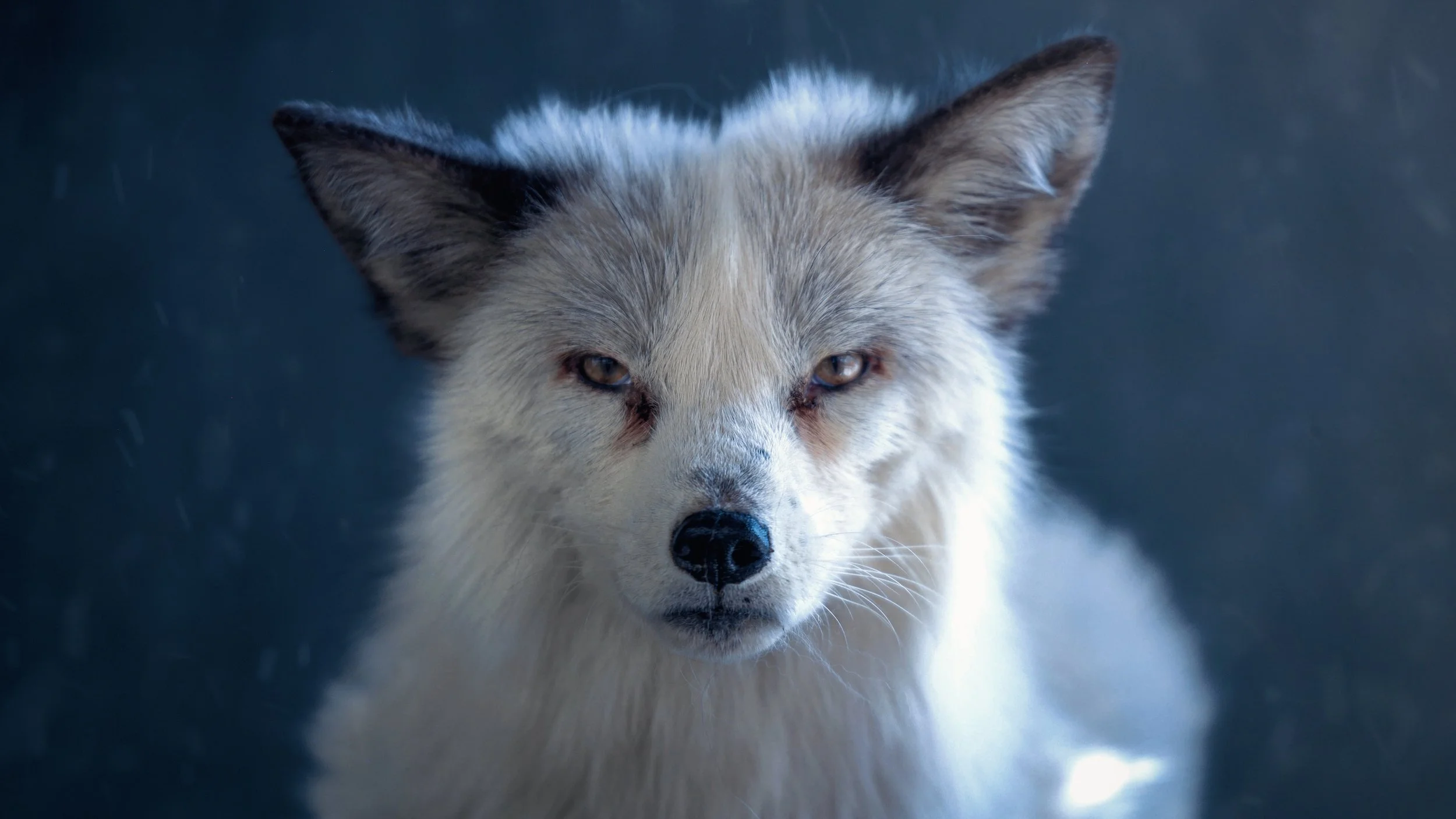 Copy of August3_Center_Photo21.jpg