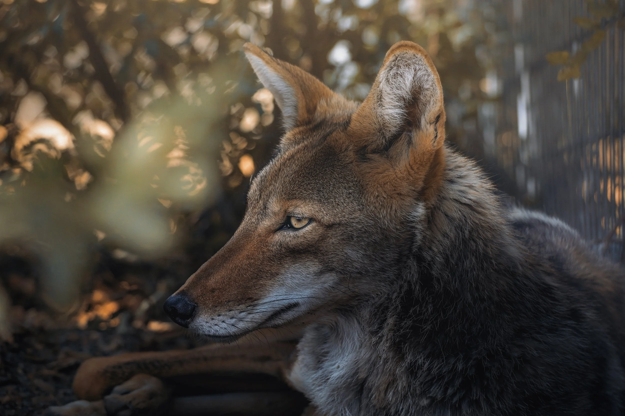 Copy of August3_Center_Photo16.jpg