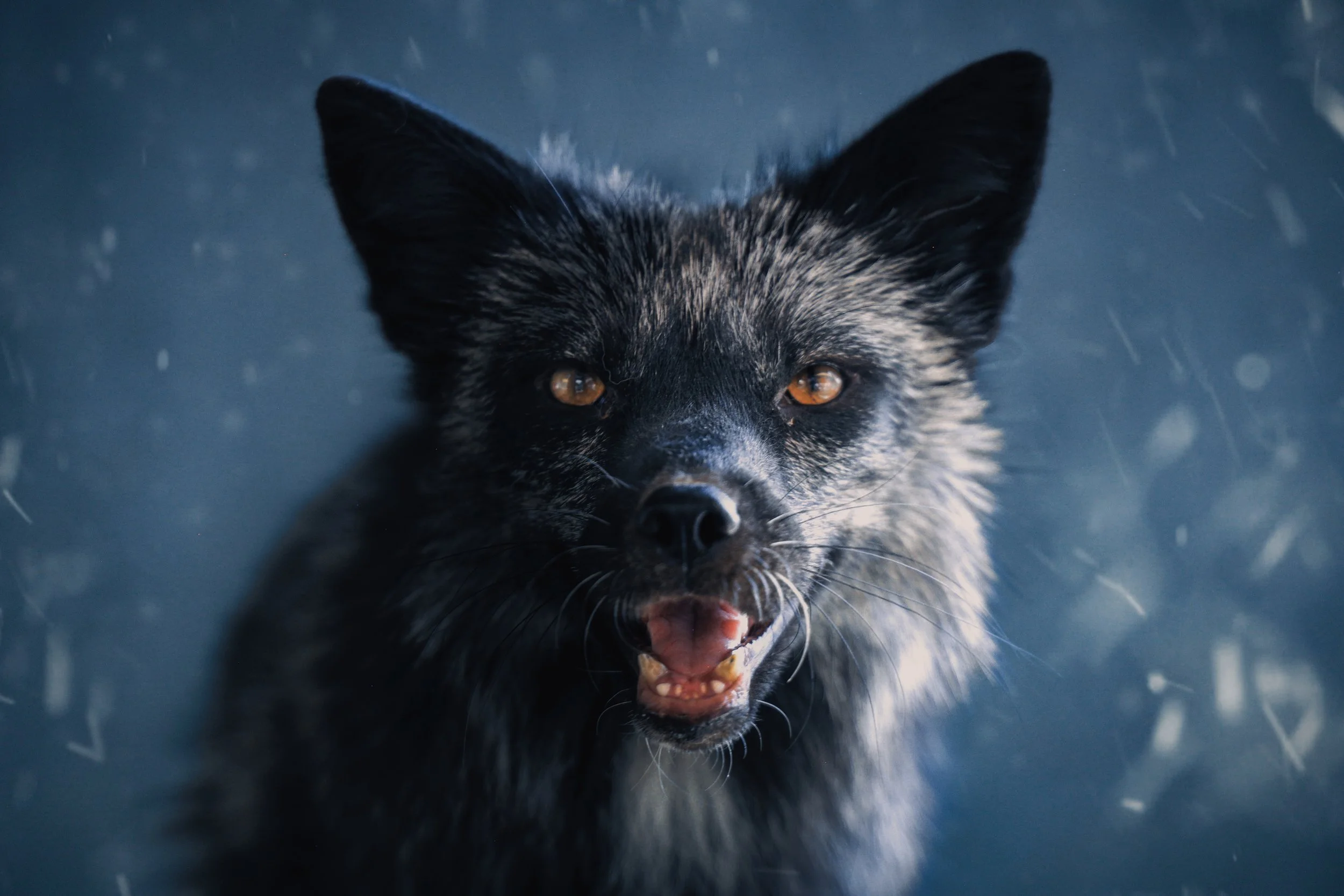 Copy of August3_Center_Photo25.jpg