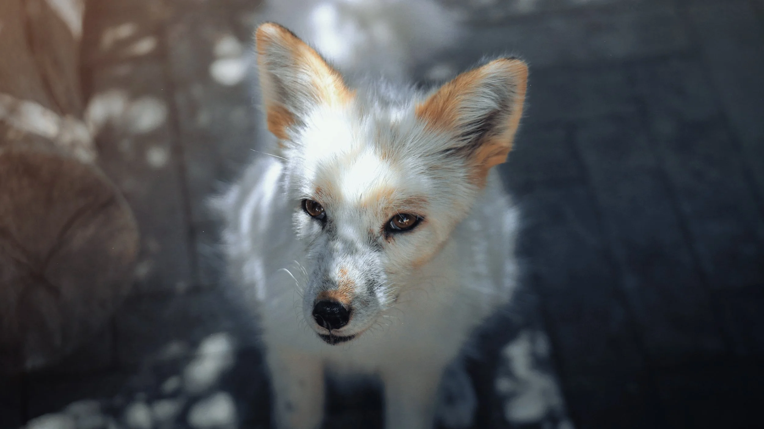 Copy of August3_Center_Photo35.jpg