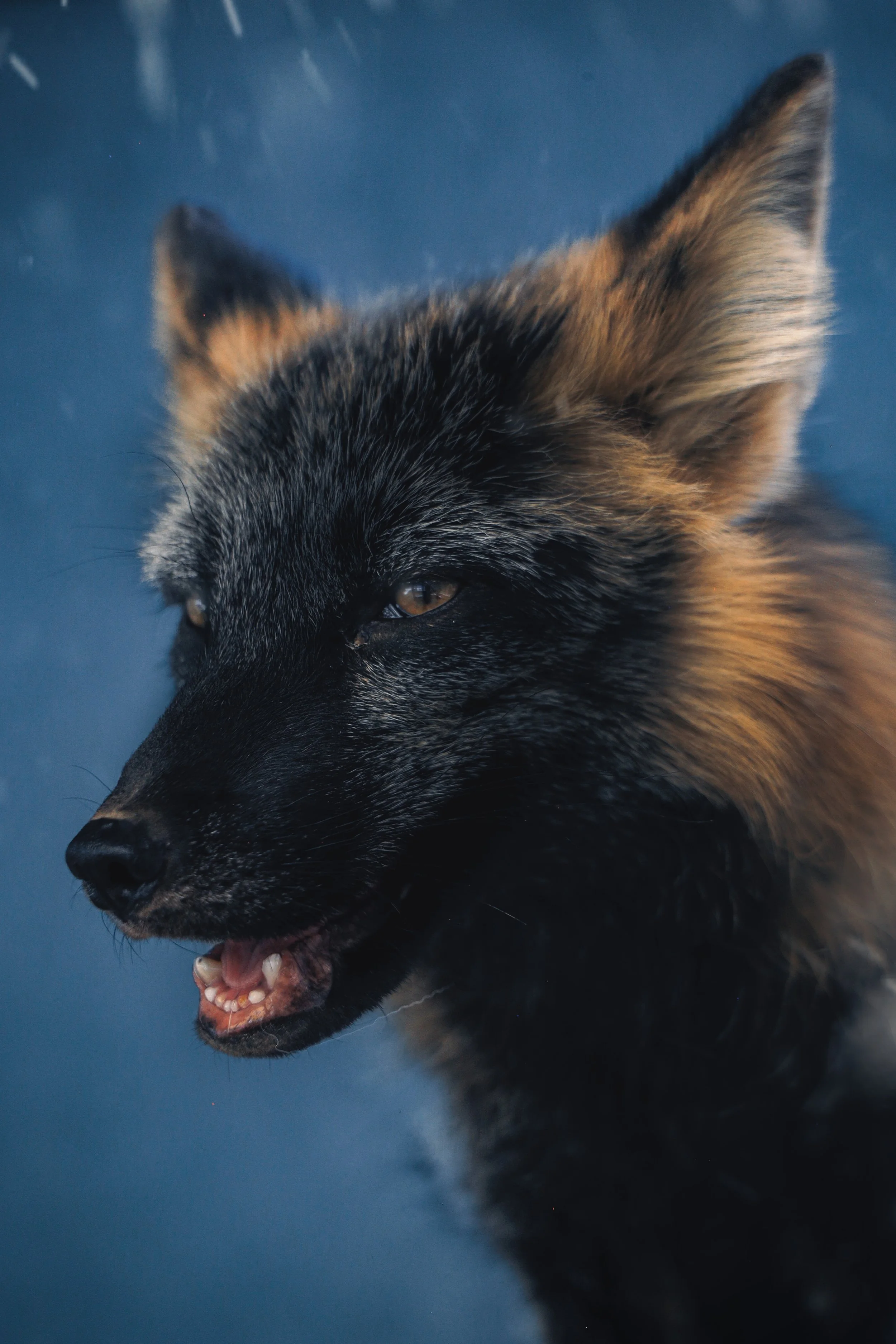 Copy of August3_Center_Photo41.jpg