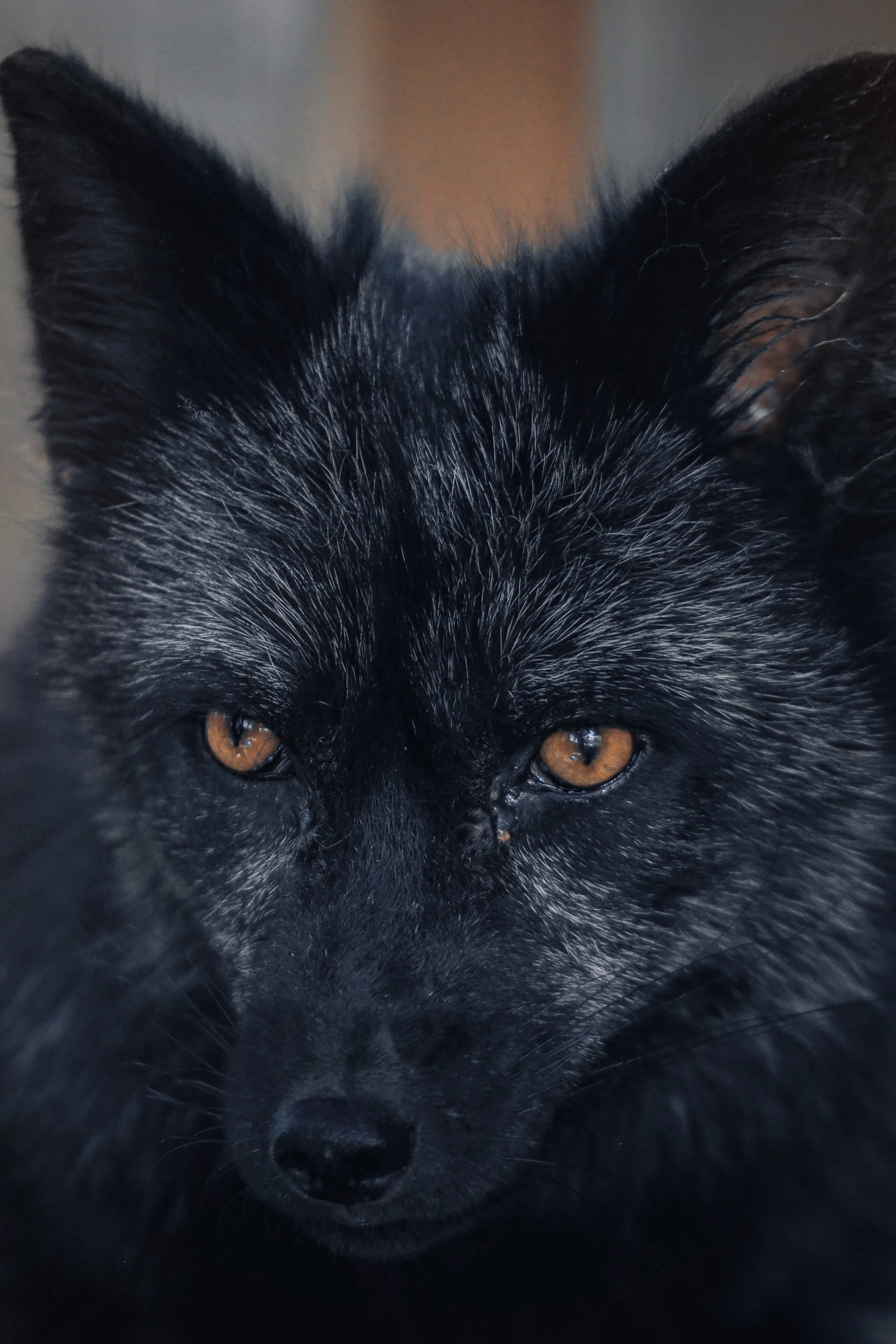 Copy of August3_Center_Photo54.jpg