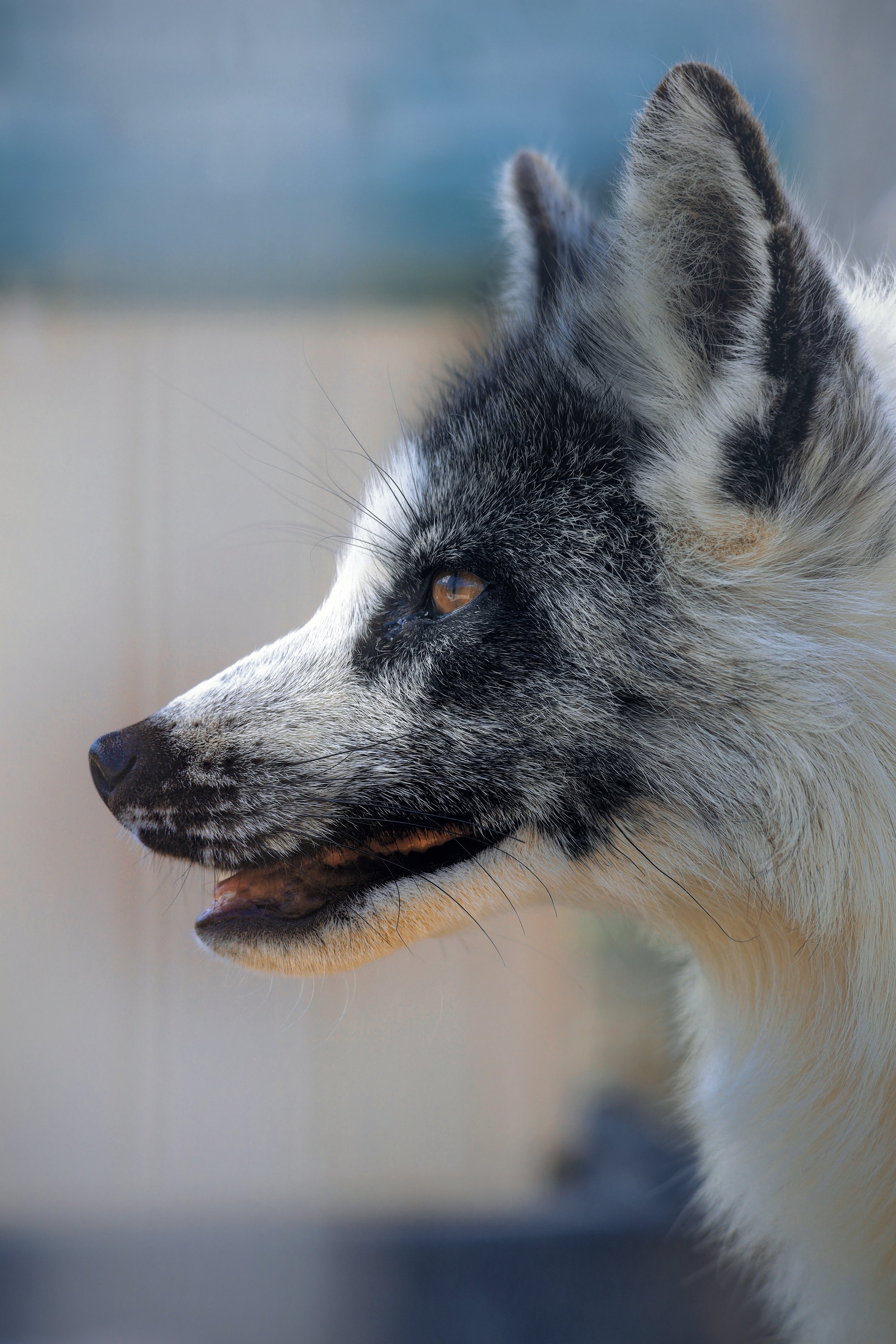 Copy of July19_Center_Photo7.jpg