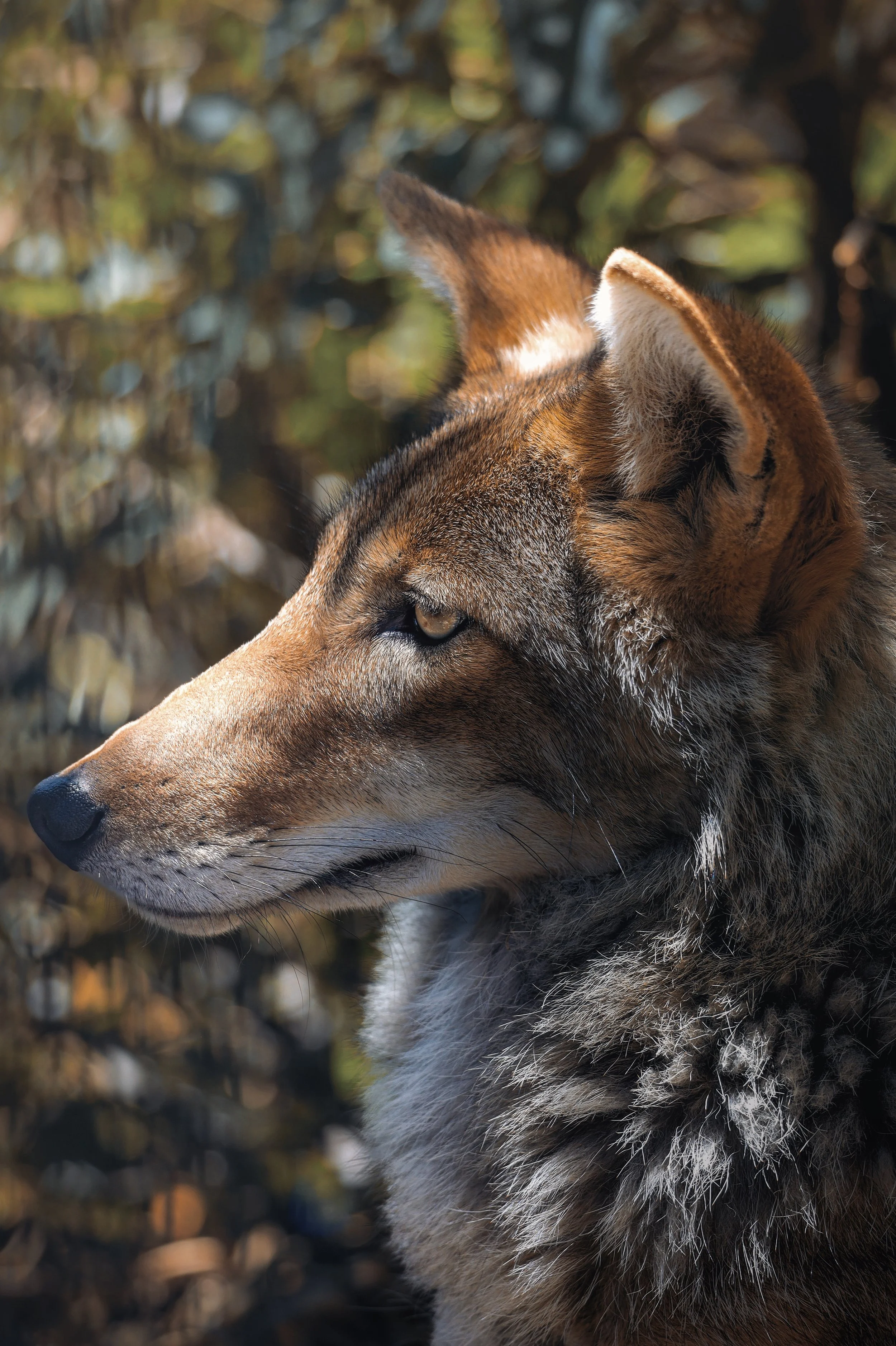 Copy of July19_Center_Photo9.jpg