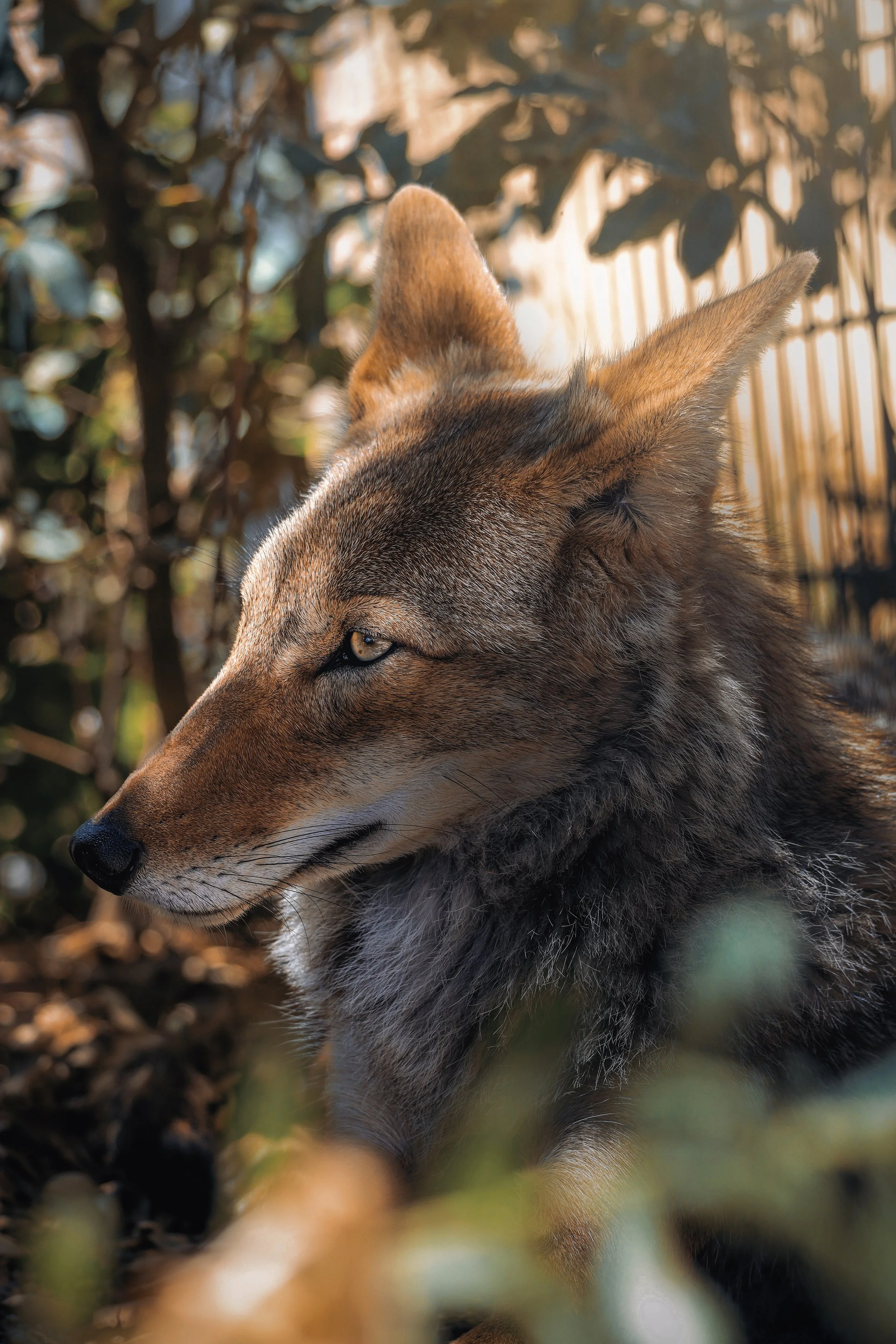 Copy of July19_Center_Photo34.jpg