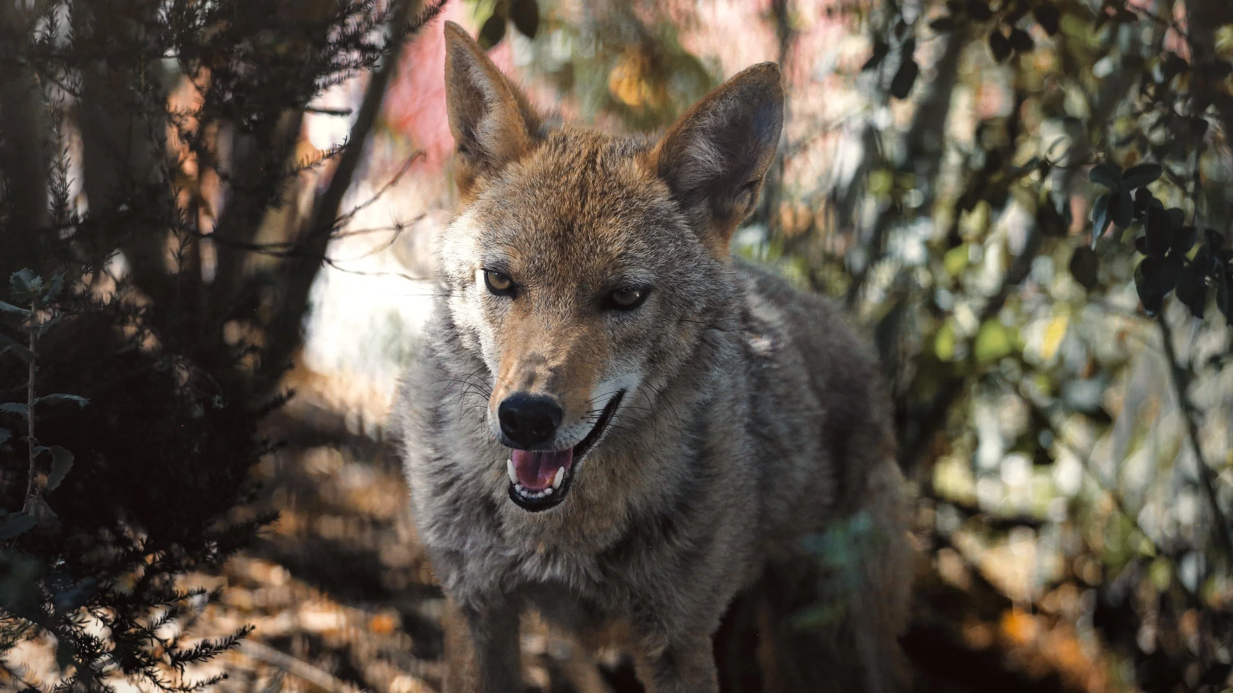 Copy of August3_Center_Photo51.jpg