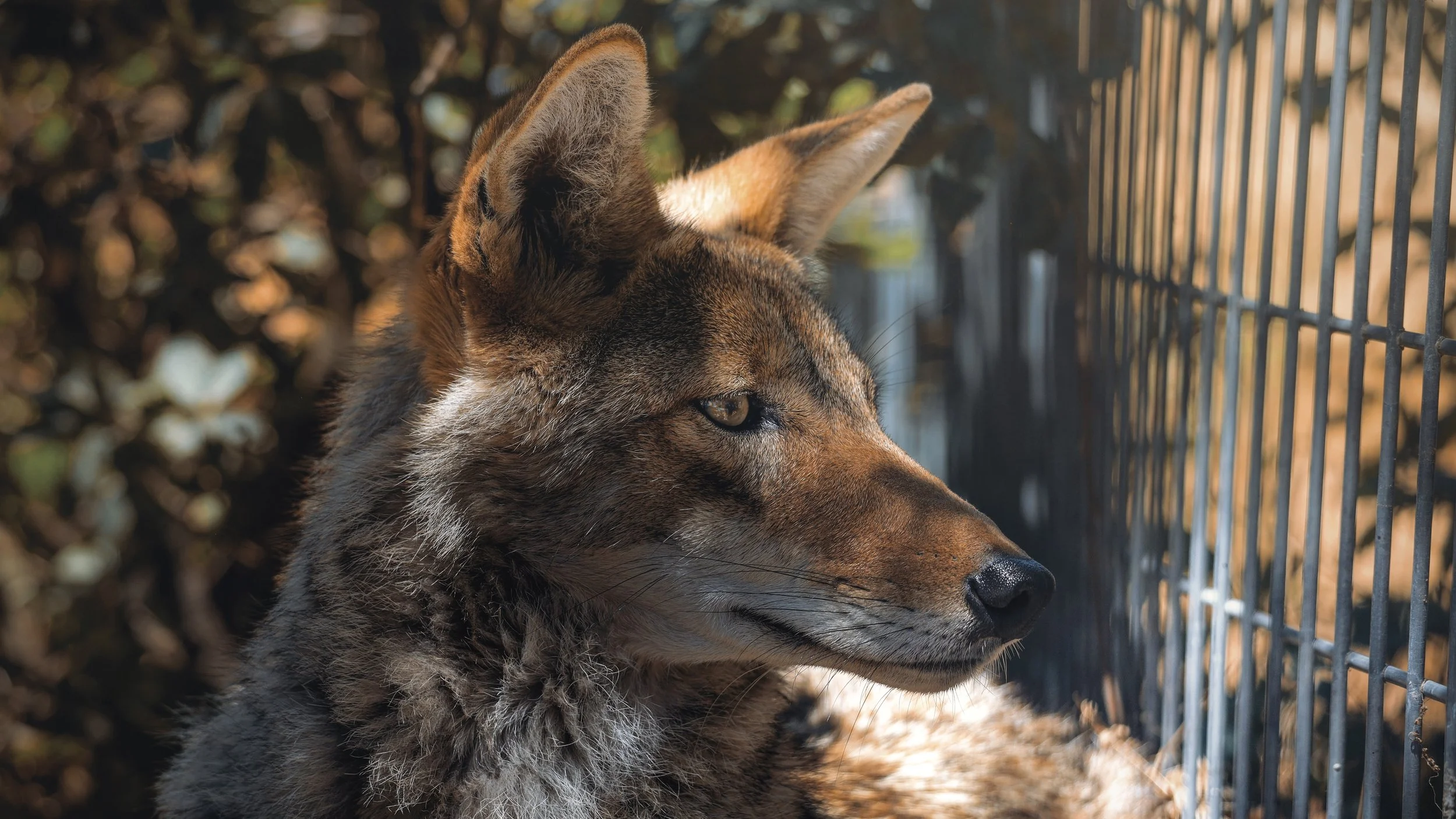 Copy of July19_Center_Photo20.jpg