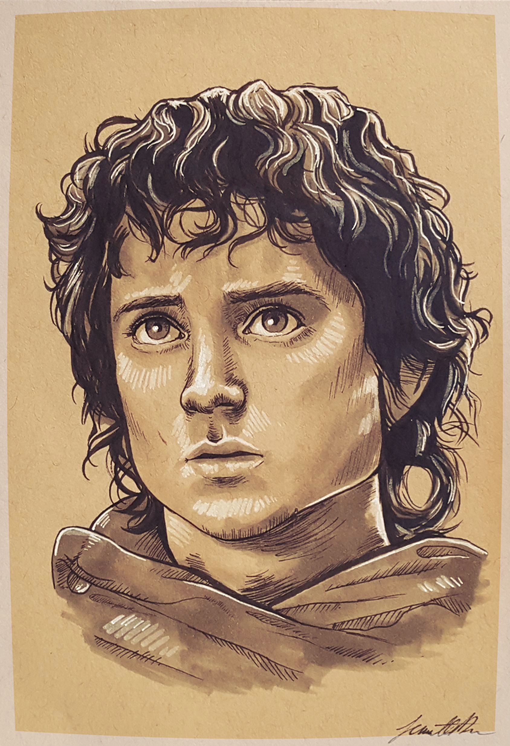 frodo.jpg