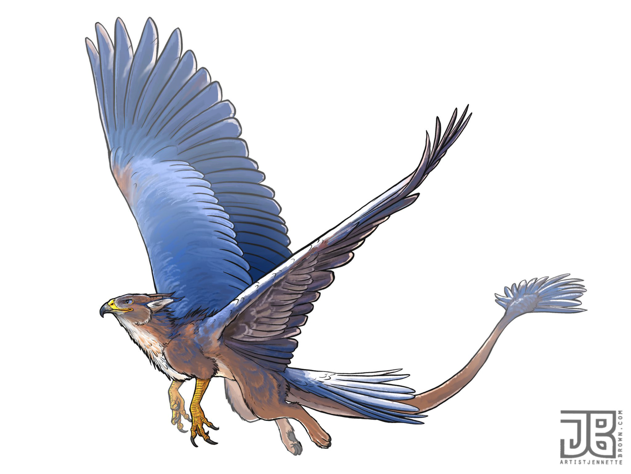 gryphon_procreate.png