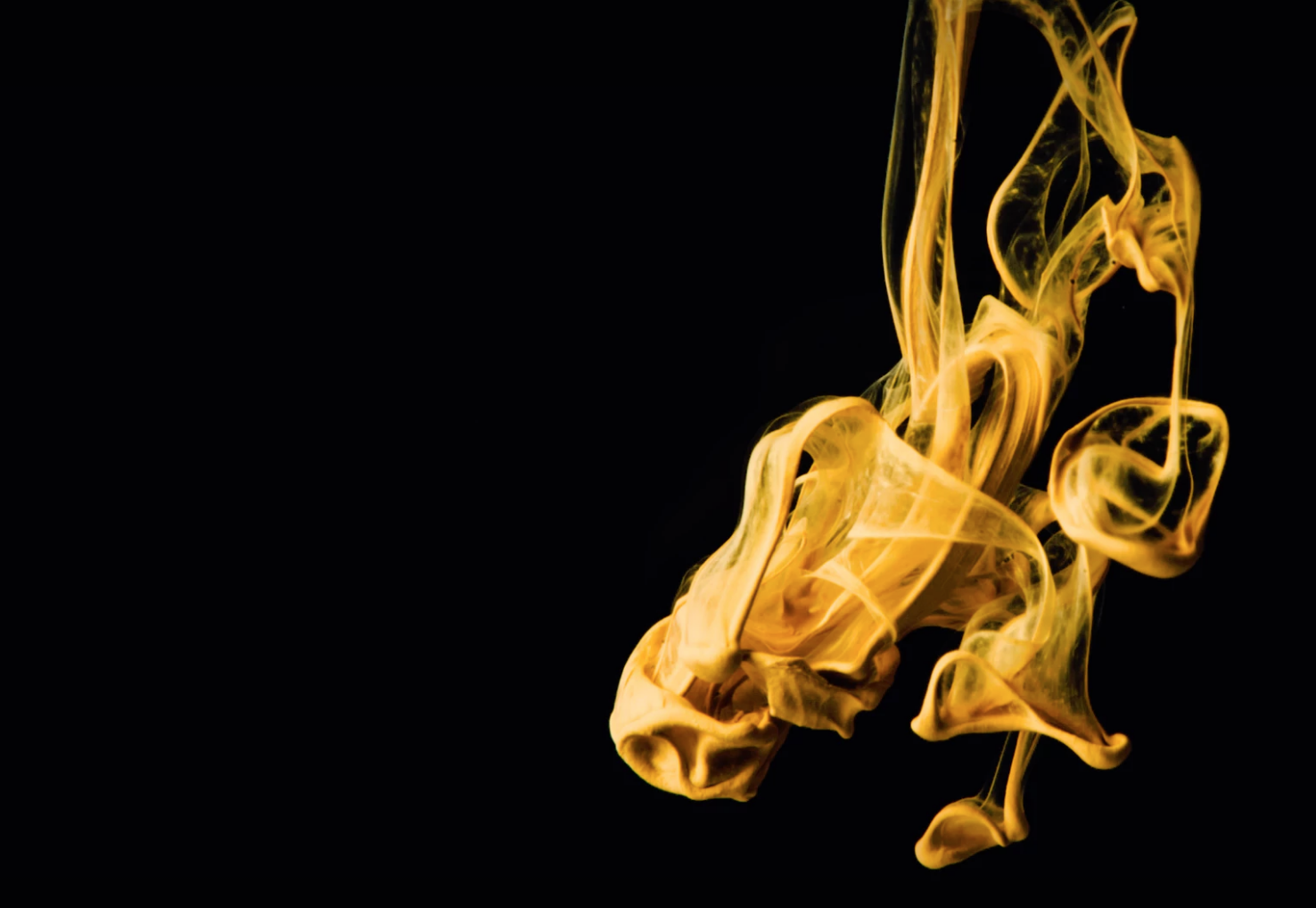 Unsplash