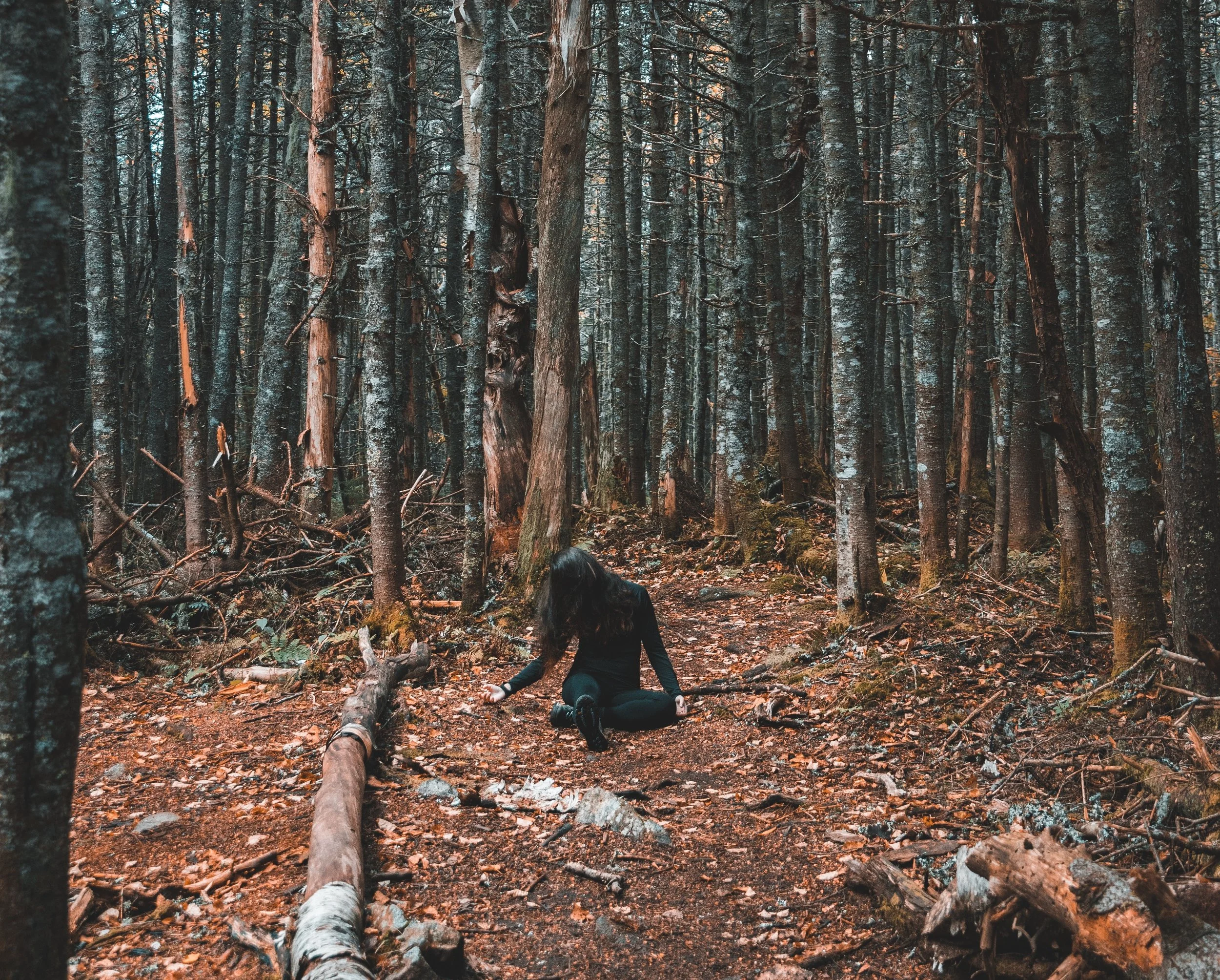alex-iby-406424-unsplash.jpg