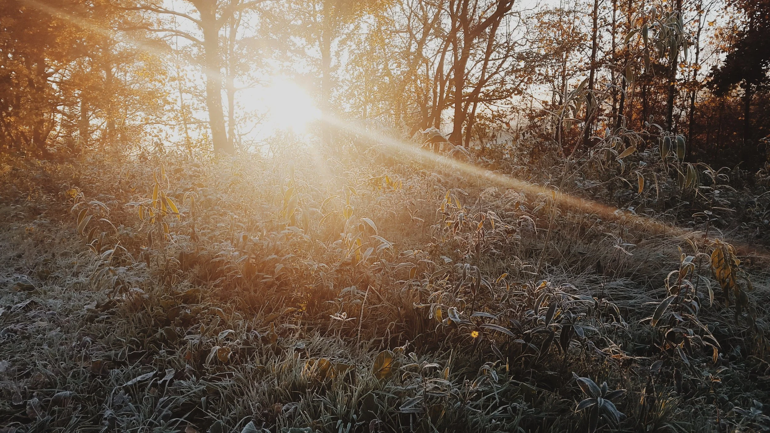 grzegorz-mleczek-42033-unsplash.jpg