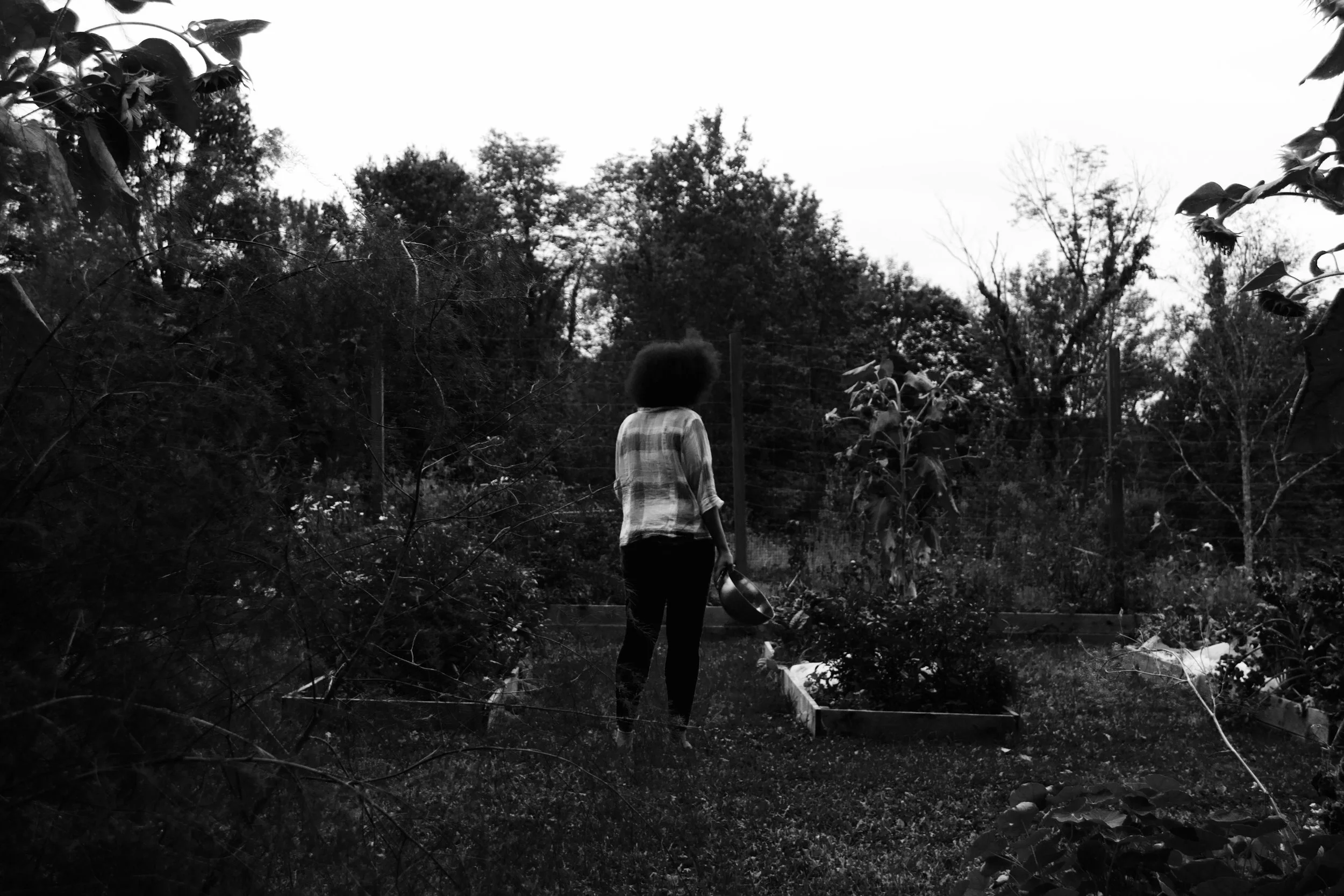 Photo: Joanna C. Valente