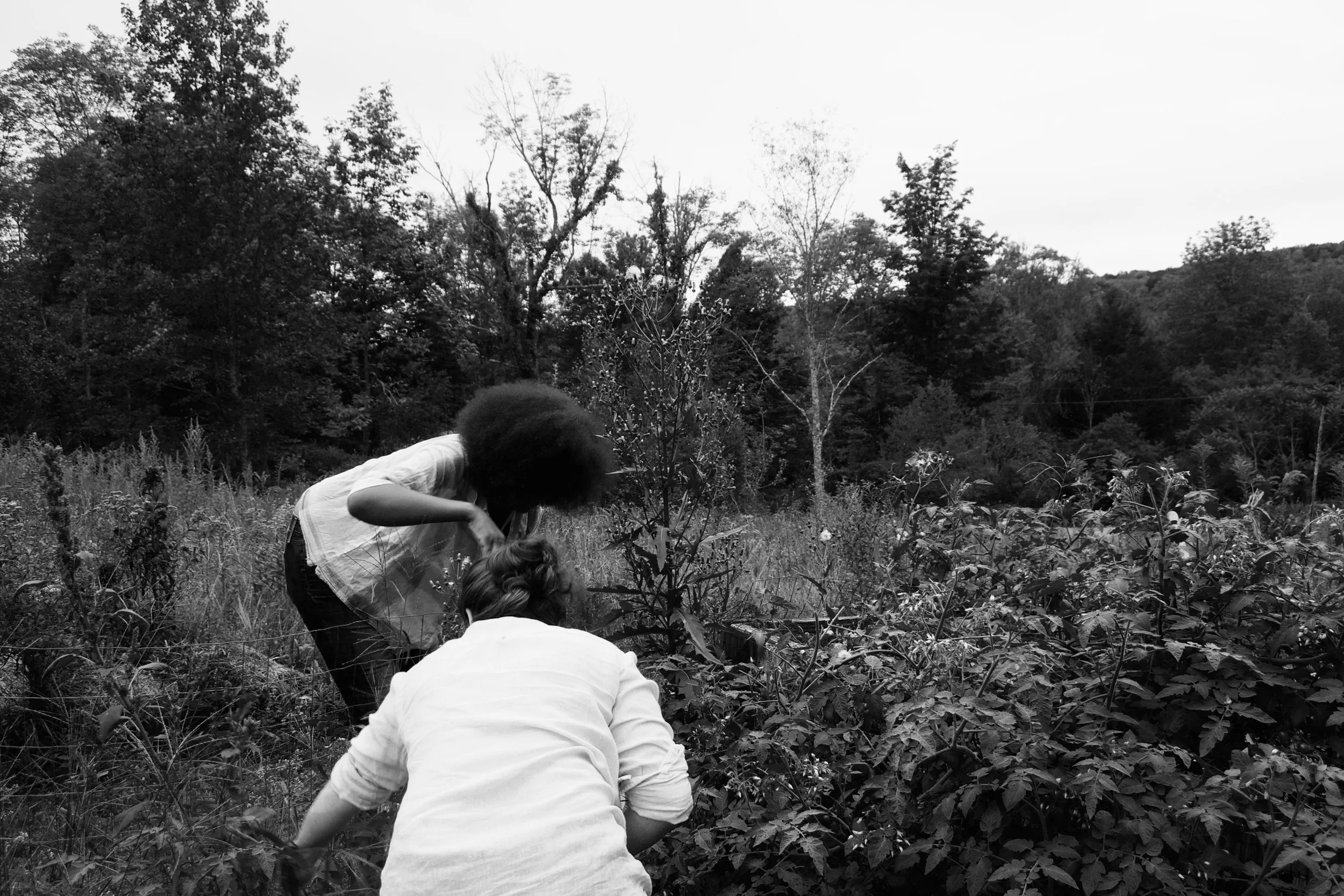 Photo: Joanna C. Valente