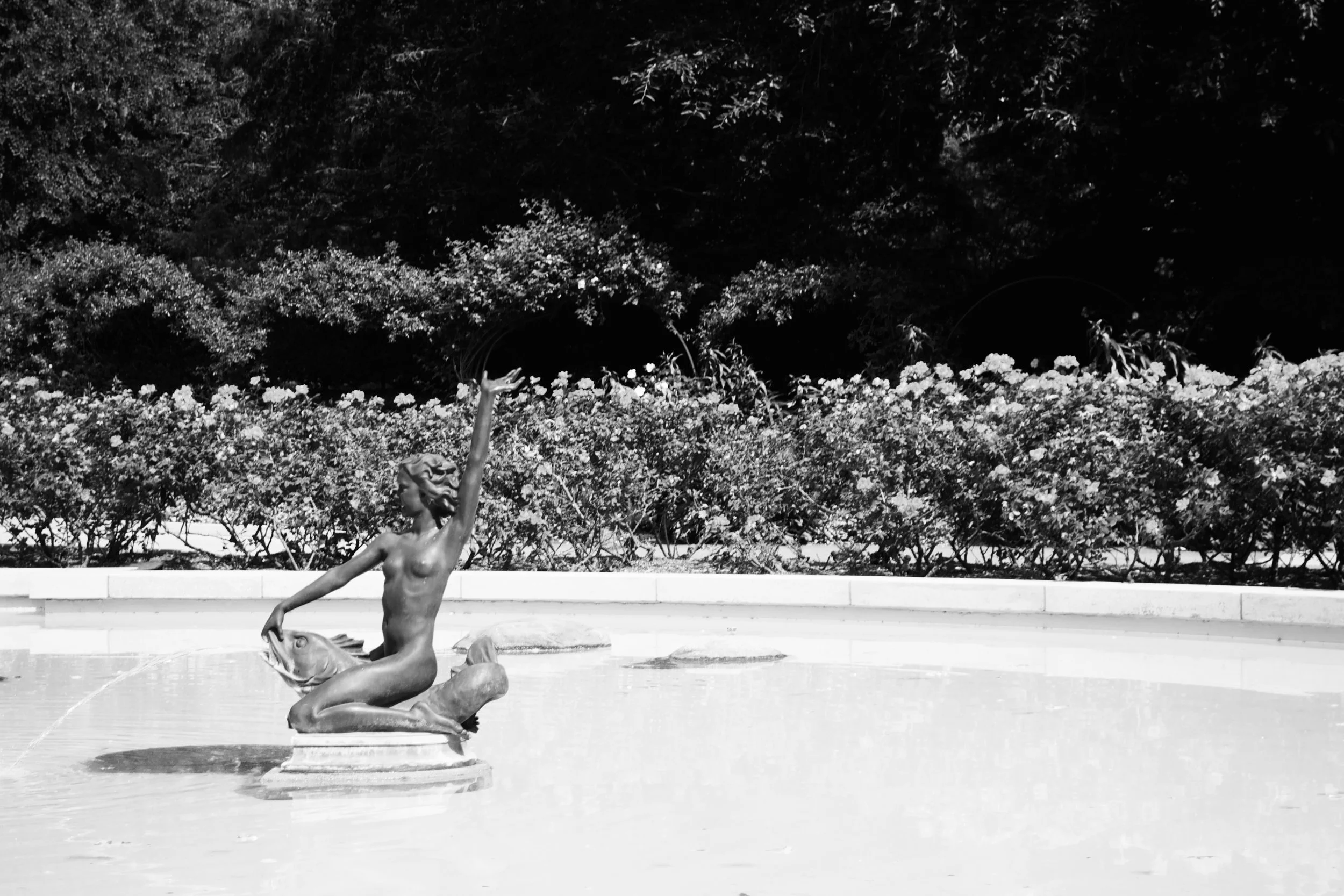 Monica Mody: What Was Alive