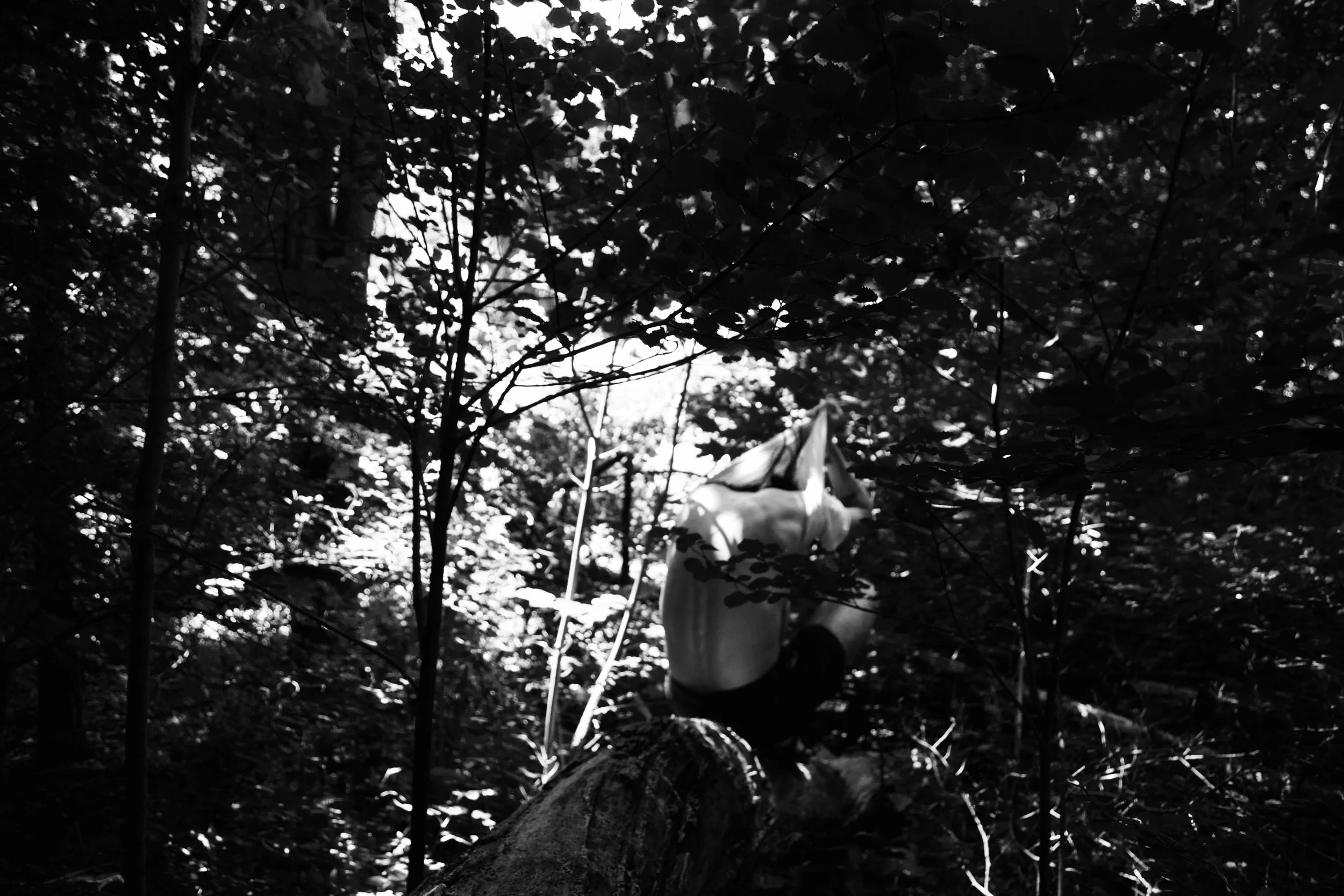 Mark Lamoureux: The Devil