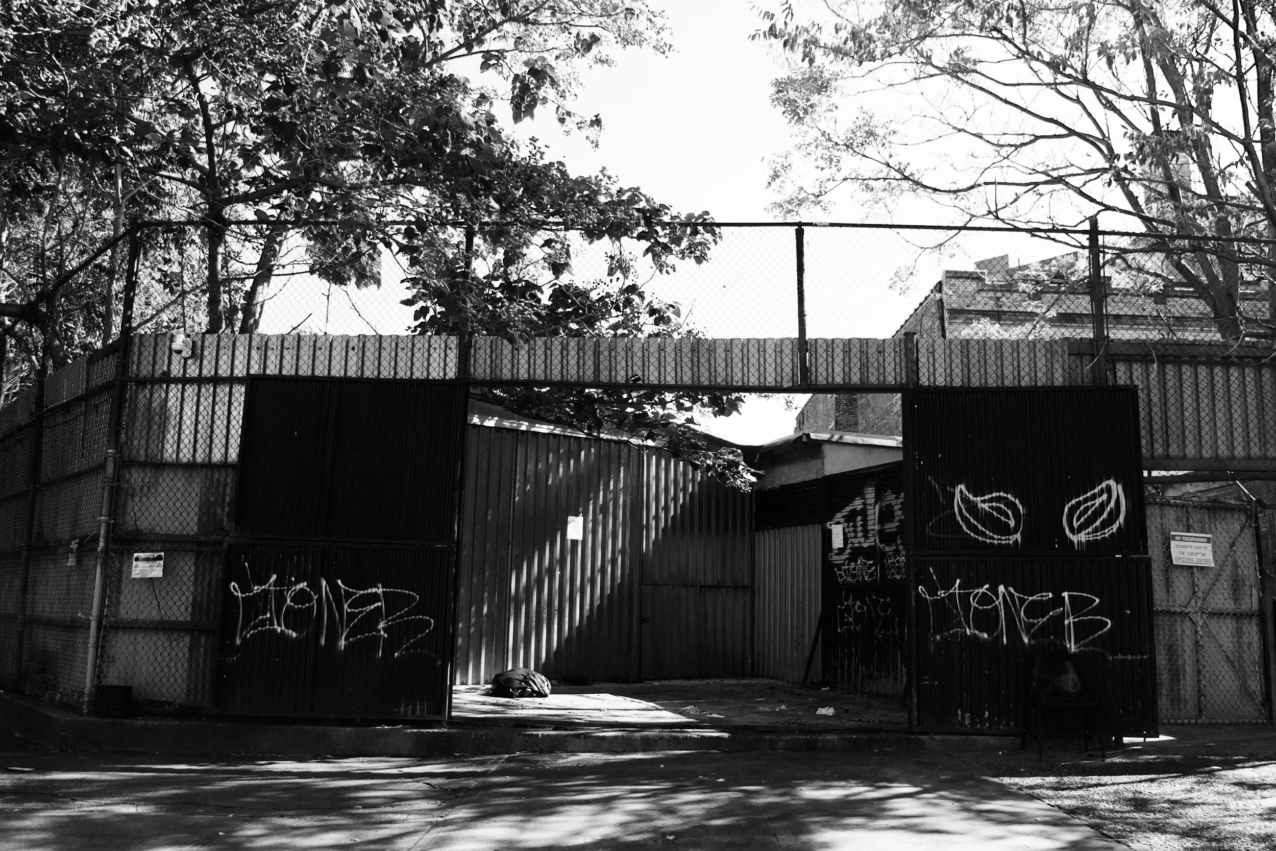 Aqdas Aftab: Lessons in Abundance