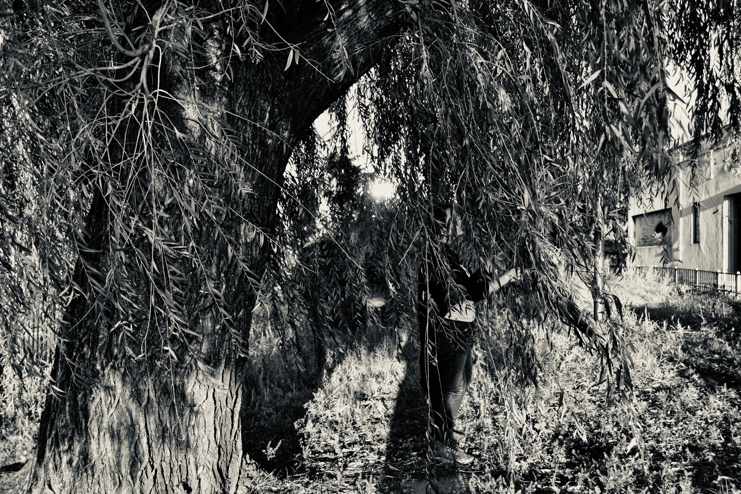 V.C. Myers: Trauma&nbsp;Is a Muscle&nbsp;Memory