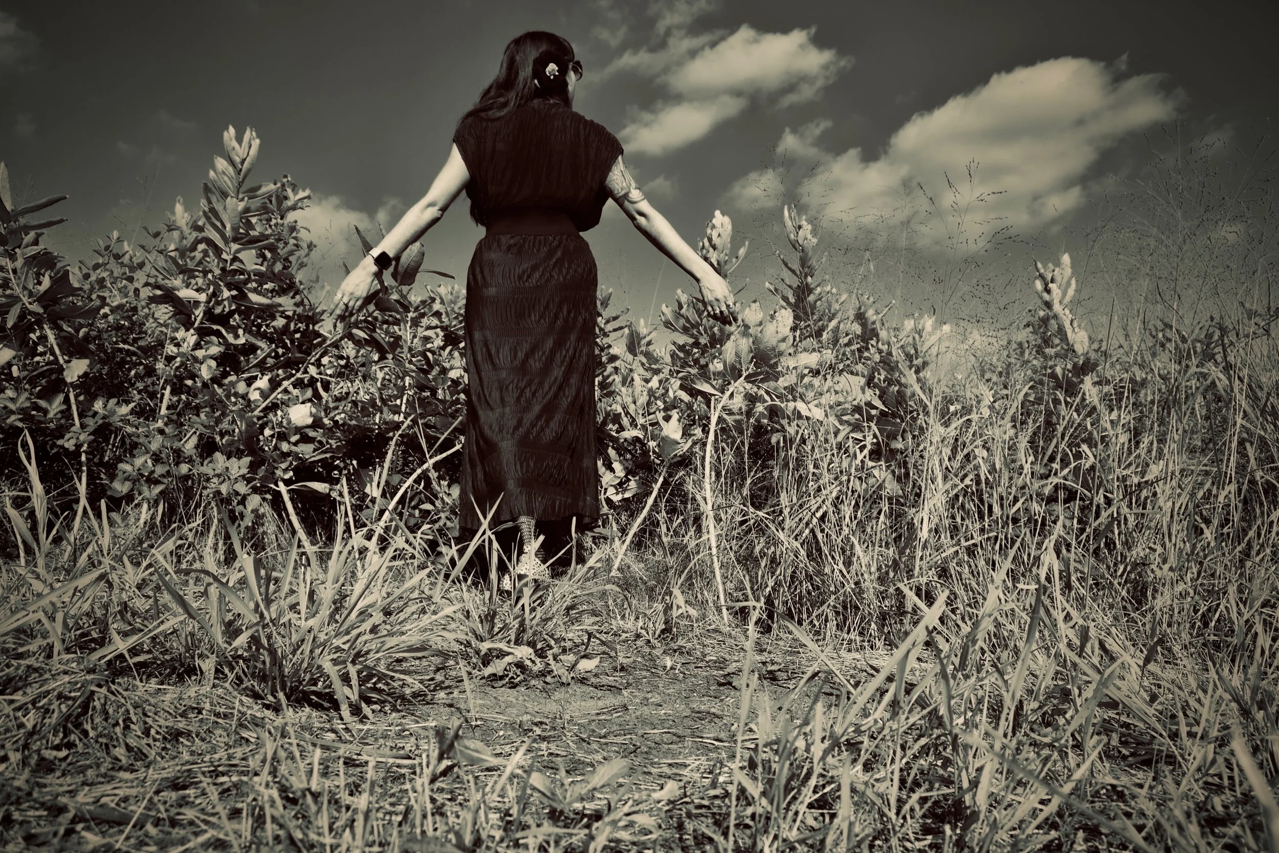 Sarah Giragosian: The Dry Spell